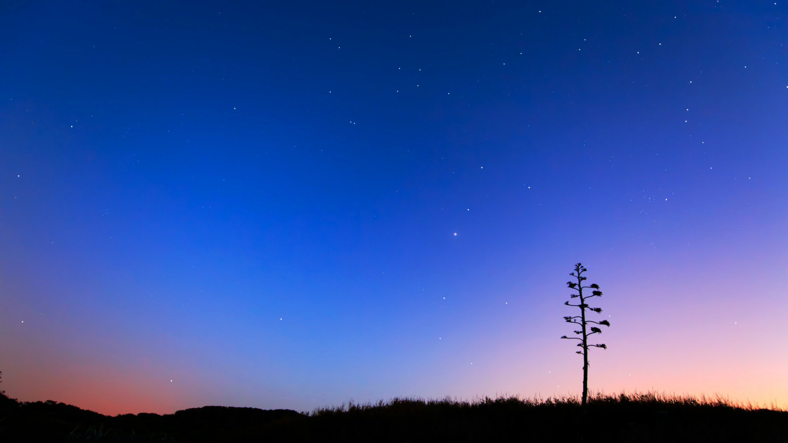 Bäume, Landschaft, Nacht-, Himmel, Sonnenaufgang, Abend, Horizont, Atmosphäre, Dämmerung, Astronomie, Aurora, Dämmerung, Star, Nachglühen, Astronomisches Objekt