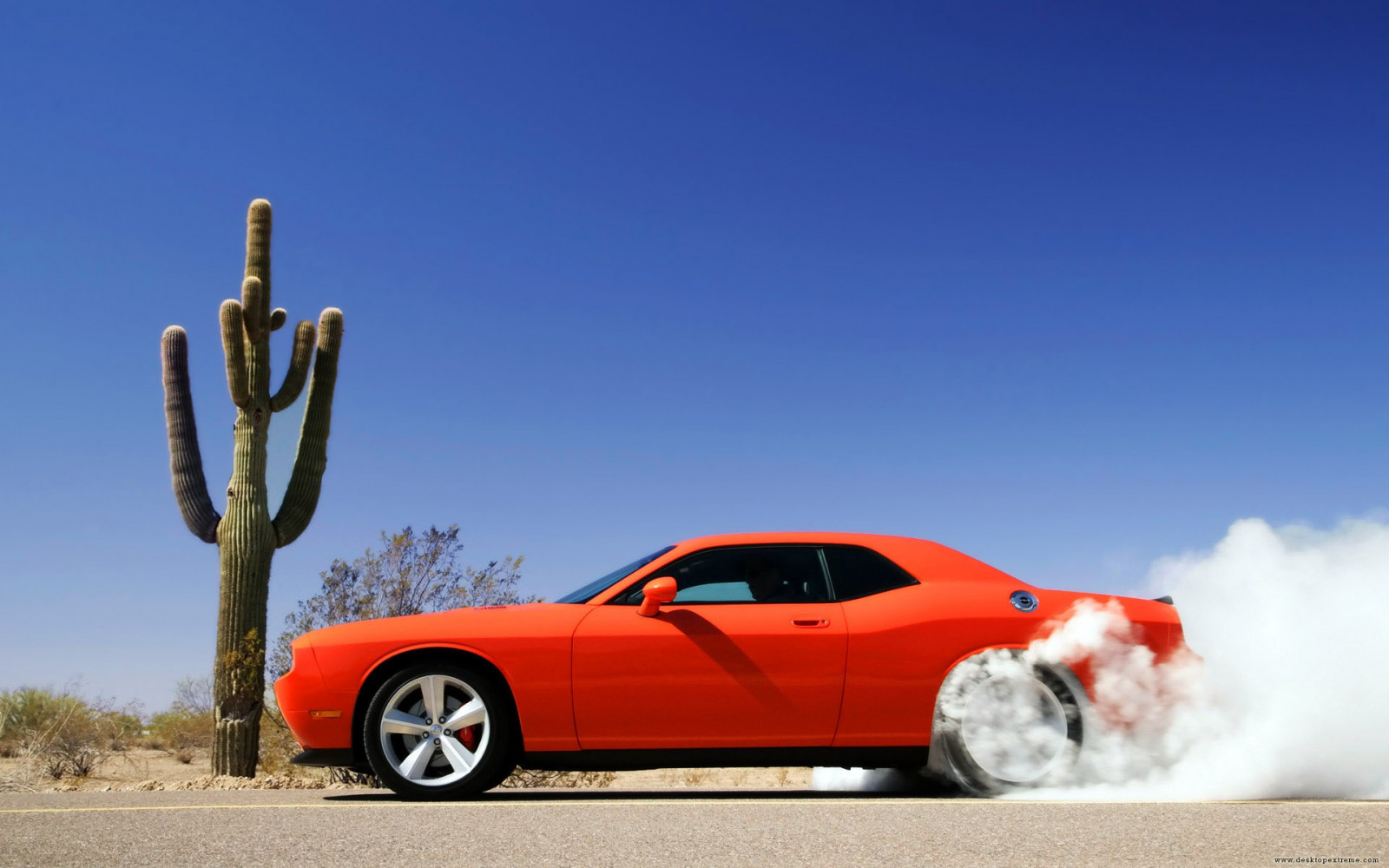 Wallpaper 1920x1200 px, cactus, car, dust, orange cars 1920x1200