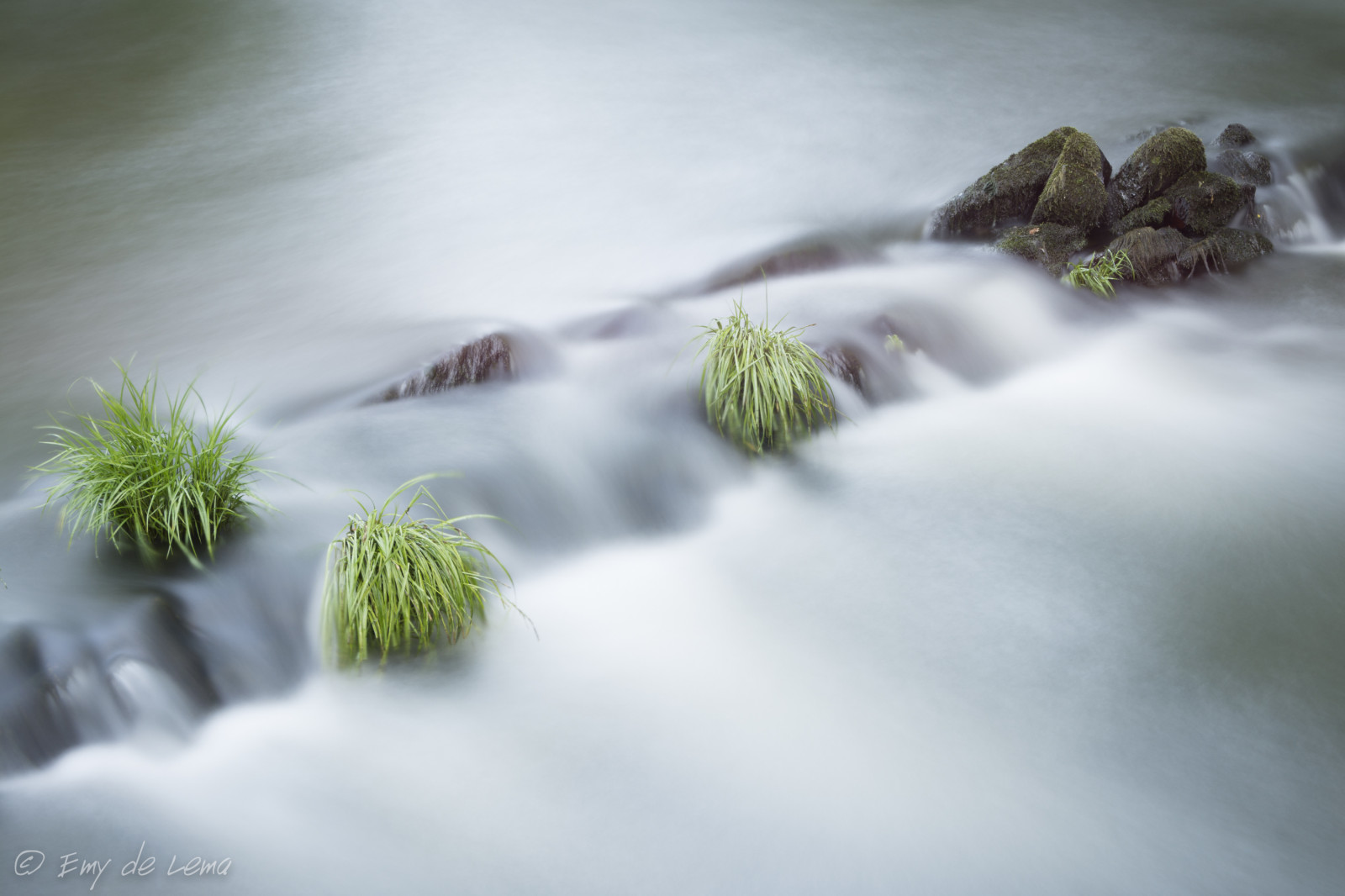 slunečnímu záření, voda, Příroda, odraz, sníh, zima, větev, zelená, ráno, mlha, mráz, Galicia, 2014, strom, list, květ, počasí, rostlina, sezóna, flóra, Snímek obrazovky, atmosférický jev, počítač tapeta, Atmosféra Země, makro fotografie, costadamorte, sfg33