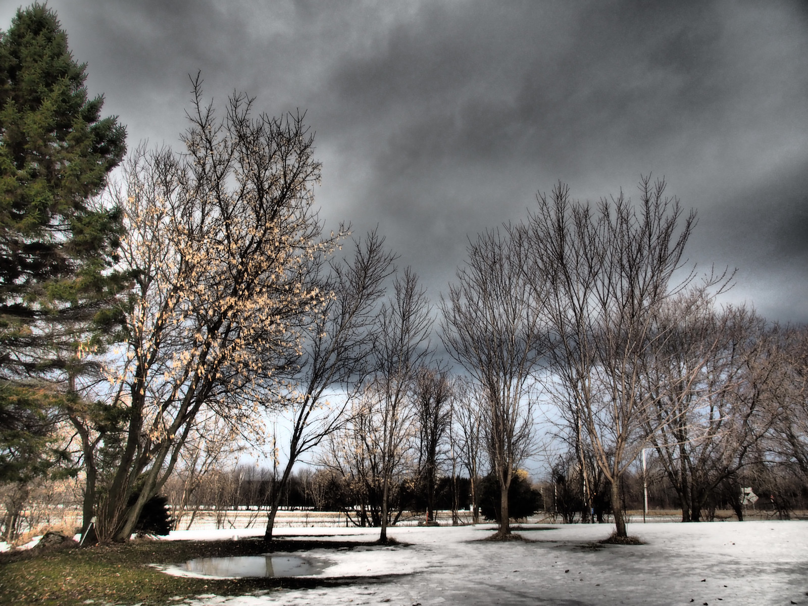 stromy, krajina, jezero, voda, Příroda, odraz, nebe, sníh, zima, větev, mráz, atmosféra, banka, zmrazení, paysage, Olympus, neige, mokřadní, mrak, strom, rostlina, hiver, arbre, ngc, olympusomd, dřevina, meteorologický jev