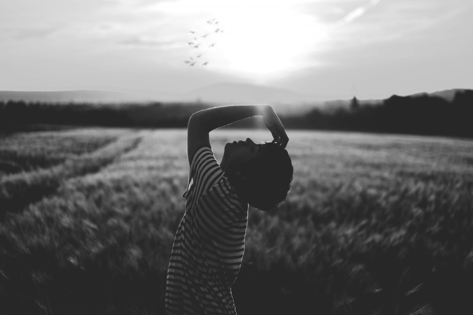 slunečnímu záření, krajina, bílý, Černá, černobílý, portrét, voda, odraz, tráva, nebe, fotografování, uklidnit, večer, ráno, letící, Kánon, rty, horizont, náměstí, atmosféra, zasněný, říše divů, pocity, Pojmový, světlo, Černý a bílý, mrak, tajemný, strom, dívka, sen, Pírko, selfie, fotografie, emotivní, objektů, Atmosféra Země, Černý a bílý, monochromatické fotografování, meteorologický jev, fantazie, nerdshades, birdsflyinghigh, stock photography, flash photography