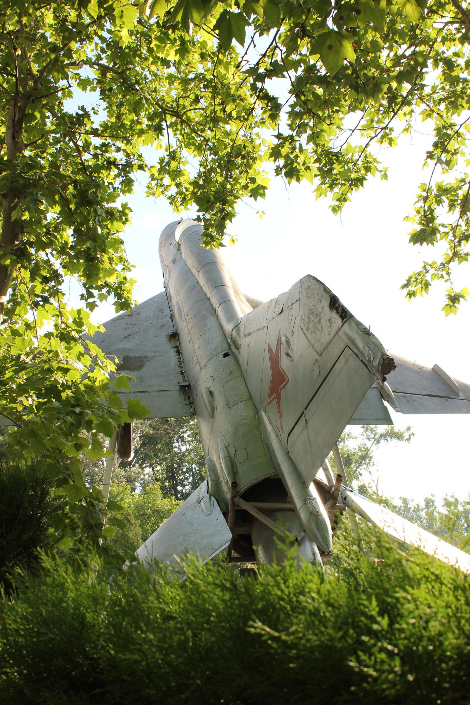 2304x3456 px, avion, des arbres