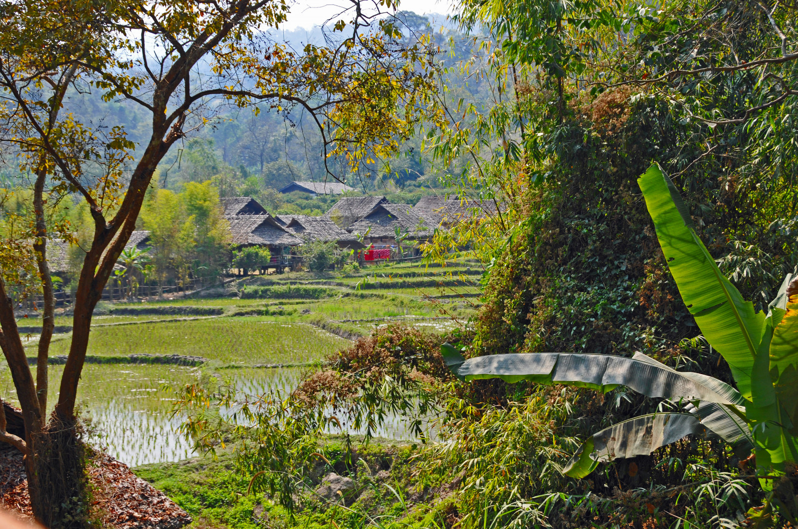 město, výlet, cestovat, tábor, lidé, slon, Thajsko, Nikon, Asie, prohlídka, Severní, Volný, uvolnit, turista, údolí, chiangmai, Dennis, Stránek, Maesa, globus, Mahut, D300, jsem Kanaďan, worldtravels, dennisjarvis, archer10, dennisgjarvis