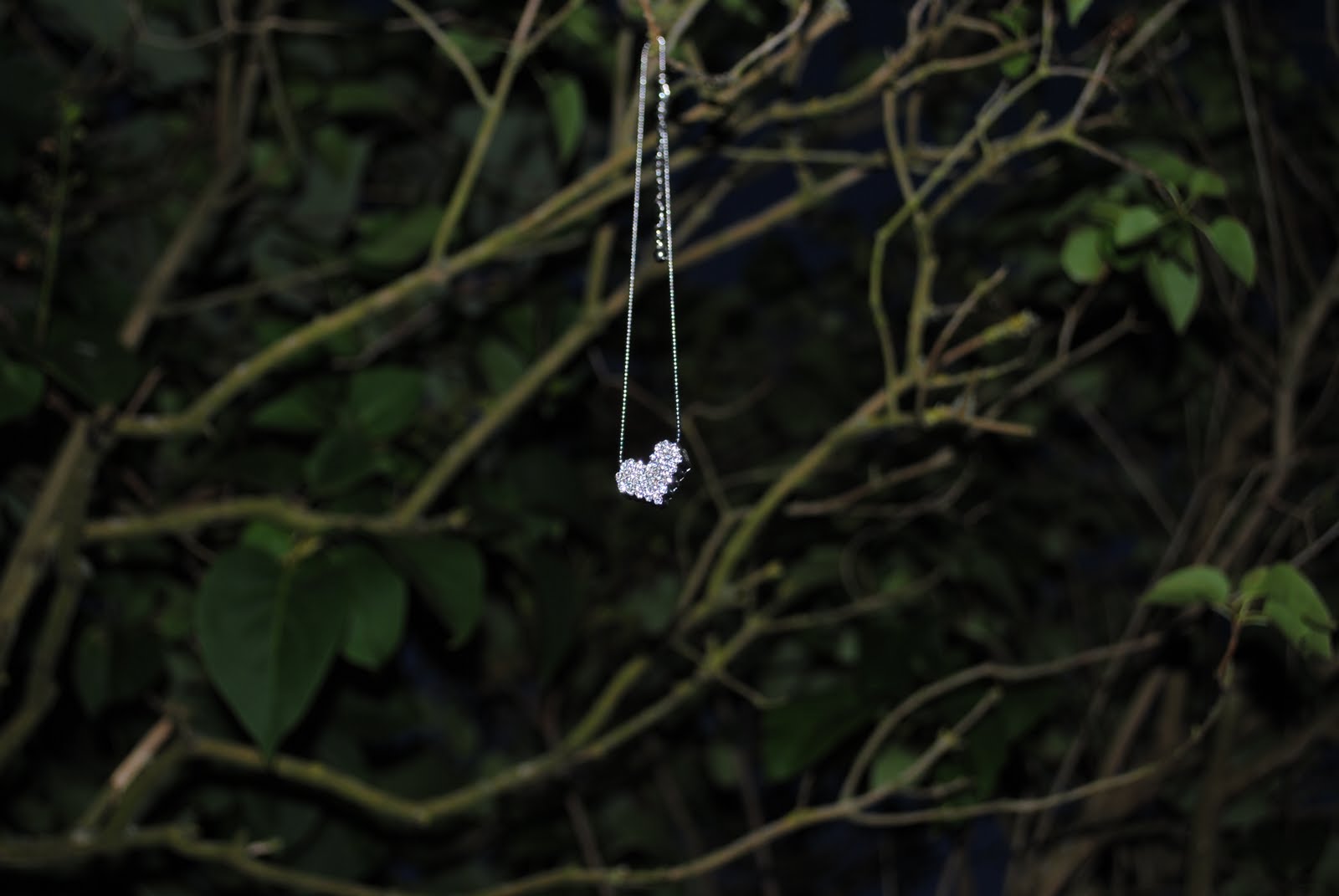 zelené listy, strom, stříbrný, náhrdelník, lesklý, dosti, srdce, venkovní, větve, Blikat, šperky, dar, choulostivý, jiskřivý, lahůdka, hangingnecklace, flickrandroidapp filtr none