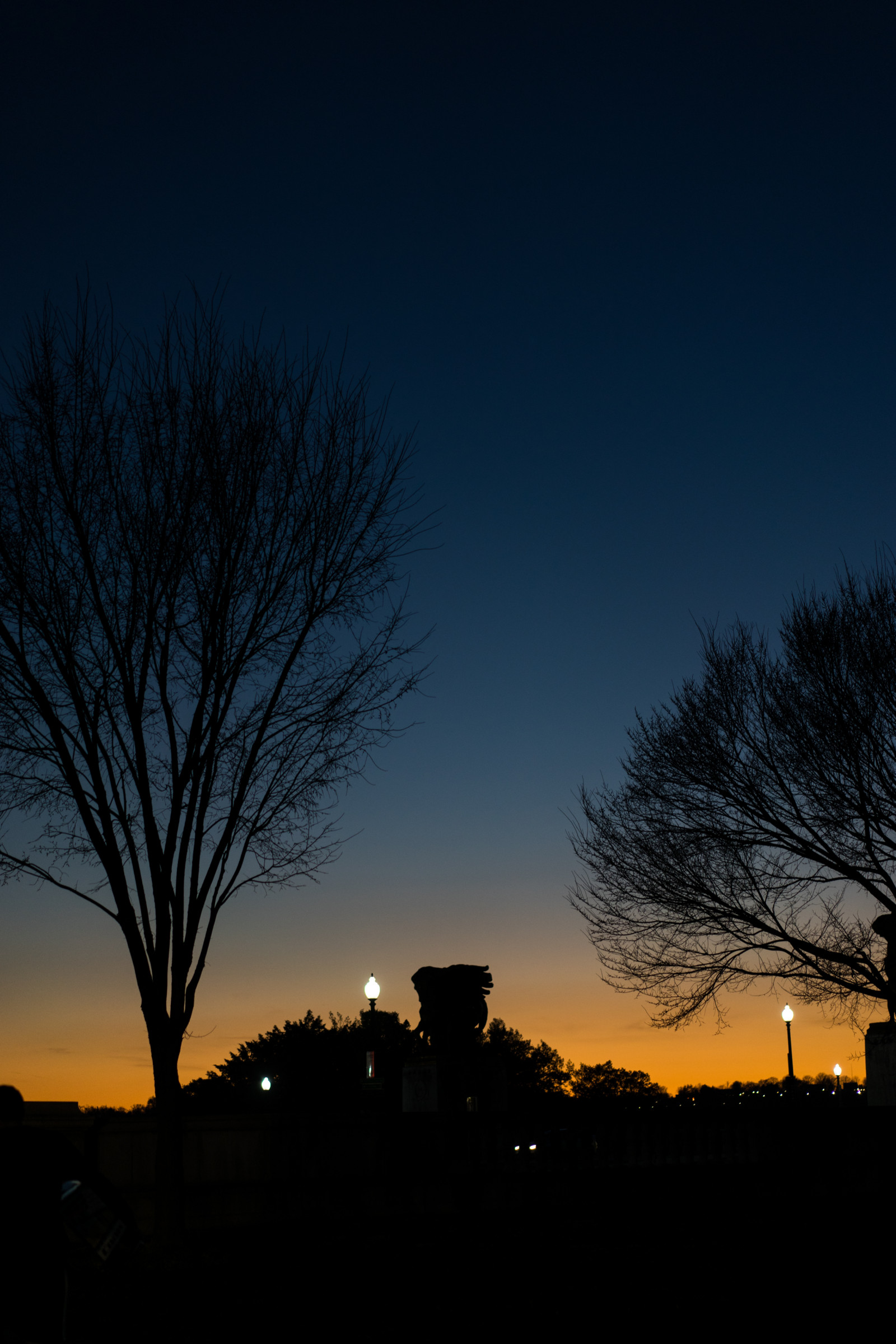 slunečnímu záření, stromy, západ slunce, noc, nebe, silueta, svítání, večer, ráno, slunce, horizont, Sony, atmosféra, soumrak, mrak, slabé světlo, strom, svítání, sonya7ii, sonya7m2, a7m2, a7ii, Zeiss, sonnar5518za, tma, atmosférický jev, odlesk, dřevina, astronomický objekt