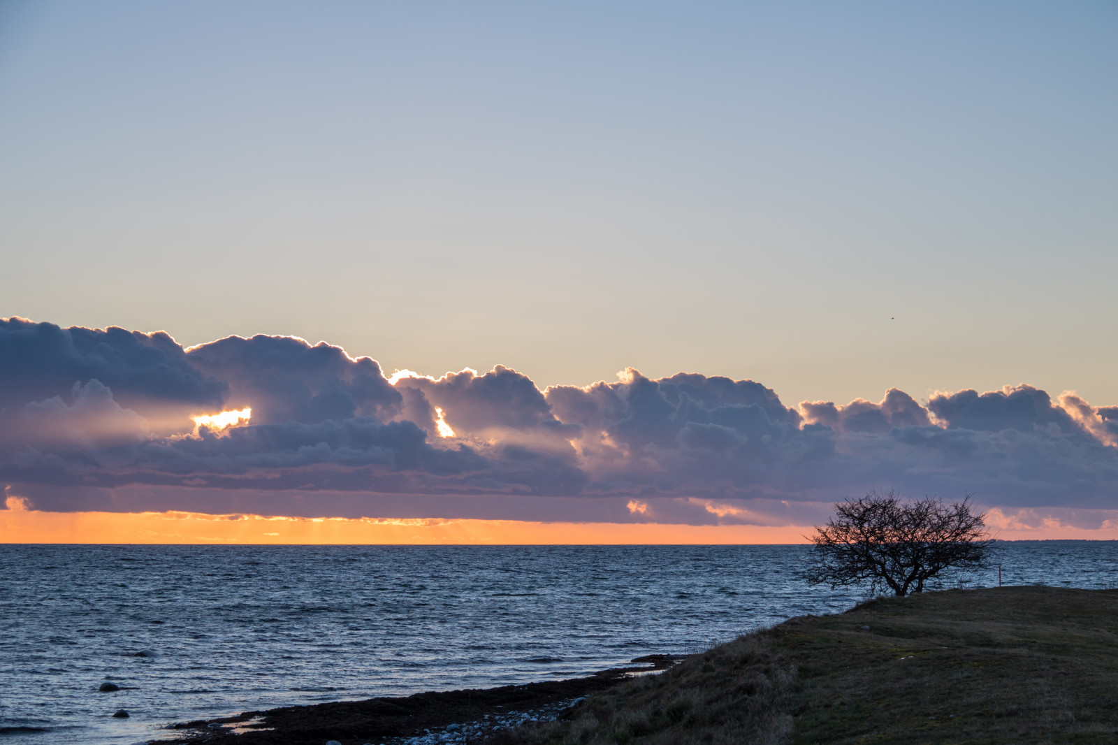 luce del sole, tramonto, mare, baia, puntellare, cielo, spiaggia, Alba, sera, mattina, costa, Sole, orizzonte, mantellina, crepuscolo, nube, alba, oceano, onda, solnedg ng, HAV, Trelleborg, Golfklubben, fenomeno atmosferico, ultimi bagliori, corpo d'acqua, vento onda