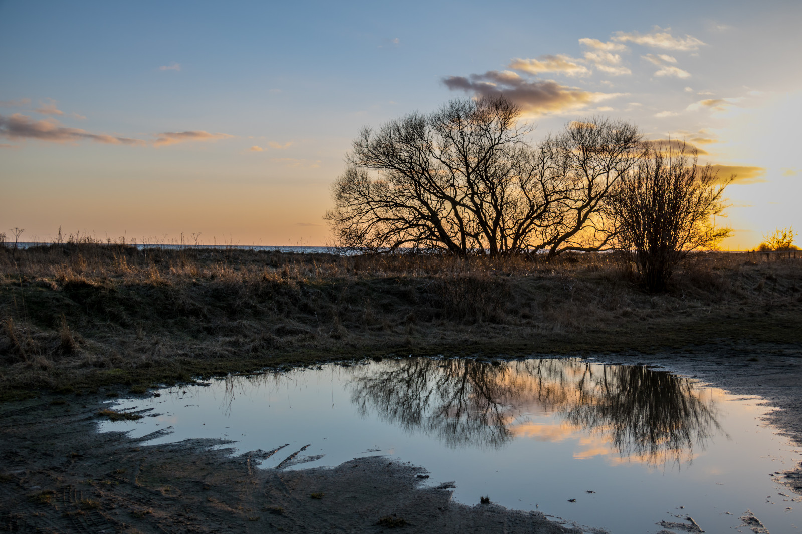 slunečnímu záření, krajina, západ slunce, moře, jezero, voda, Příroda, pobřeží, odraz, tráva, nebe, svítání, večer, ráno, mlha, řeka, slunce, horizont, soumrak, louže, mokřadní, mrak, strom, podzim, svítání, sezóna, vatten, tr d, kv ll, reflektion, b ste, p l, nádrž, bažina, venkov, místo výskytu, přírodní prostředí, atmosférický jev, dřevina