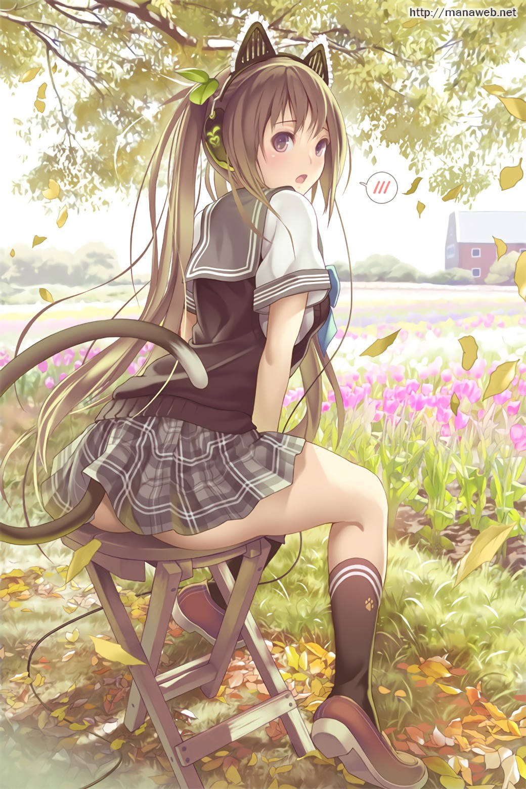 Taustakuvat Maisema Kuva Pitkat Hiukset Anime Tytot Kissa Tytto Elainten Korvat Pyrsto Ruskeaverikko Perse Sarjakuva Polvisukat Hame Violetti Silmiin Vaatetus Mangaka 1040x1560 Criseva01 268141 Ilmaiset Taustakuvat Wallhere