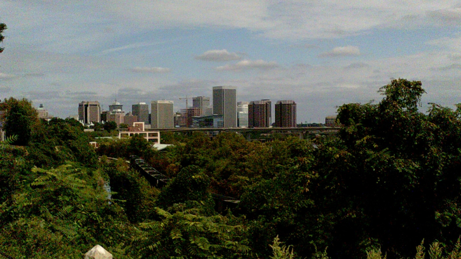 Wallpaper city, cityscape, skyline, skyscraper, horizon, jungle, tree