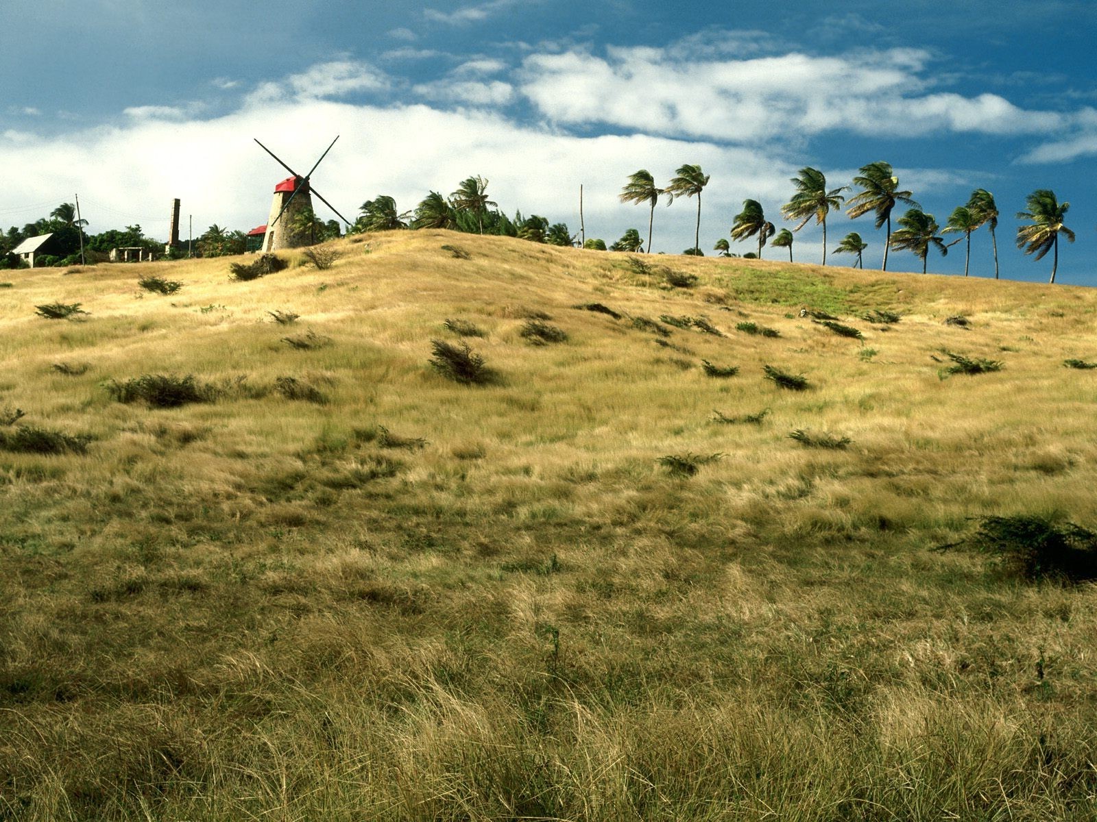 landskab, bakke, græs, Mark, vind, ødemark, tundra, plateau, steppe, vådområde, Terræn, bjerg, græsarealer, græs, eng, eventyr, almindeligt, 1600x1200 px, prærie, landdistrikt, levested, naturligt miljø, bjergrige landskabsformer, geografisk funktion, økosystem, savanne, Badlands, økoregion