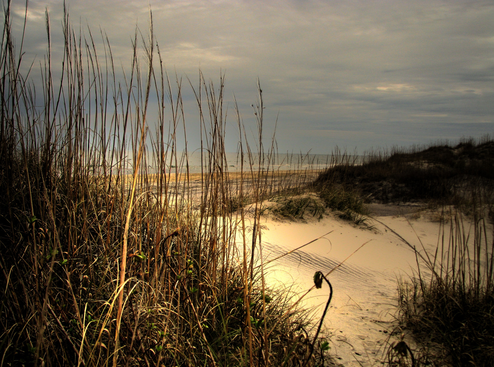 oceán, pláž, Kánon, pobřeží, je, NC, písek, duny, duna, Severní Karolina, silná rána, atlantický, Hatteras, národní, pobřeží, pelerína, pobřežní čára, vnější, outerbanks, mořský břeh, HDR, banky, OBX, s5, Coquina, 3XP, Photomatix, mywinners, aplusphoto, Banx, platinumheartaward, natureselegantshots, rubyphotographer, flickrclassique