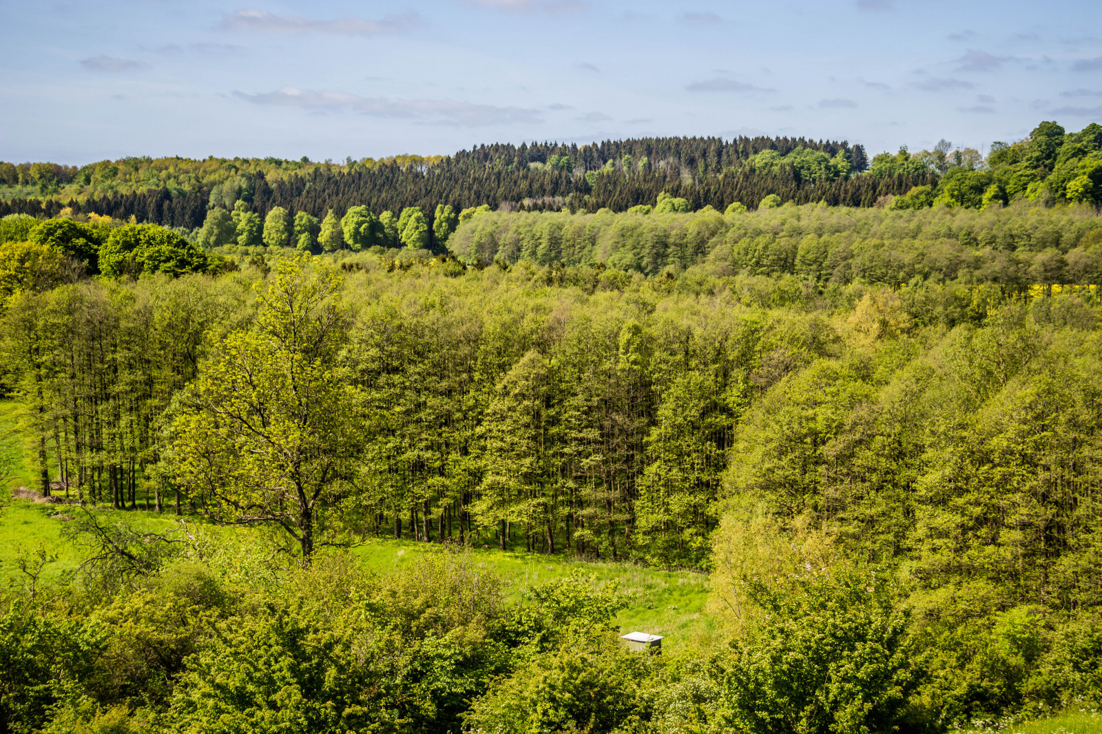 krajina, les, kopec, Příroda, tráva, pole, zelená, divočina, mokřadní, strom, podzim, list, hora, květ, lučina, rostlina, pastvina, landsbygd, f lt, vegetace, landskap, Kamera aby kánon, geolocation, EXIF čočka efs18200mmf3556is, exif aby kánon, EXIF isospeed 100, EXIF otvor 71, exif focallength 35mm, gr n, Model fotoaparátu canoneos100d, exif modelu canoneos100d, fyledalen, benestadbackar, countyside, Kull, louka, divoká rostlina, zálesí, venkov, místo výskytu, přírodní prostředí, dřevina, geografický rys, ekosystém, mírné jehličnatý les, biome, keř, smíšený les, opadavý