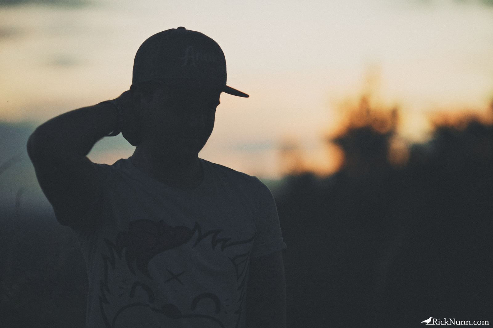 stromy, Černá, západ slunce, Příroda, nebe, čepice, stín, silueta, hluk, Anglie, slunce, emoce, mrtví, vrchol, Koťátko, soubor, tóny, pokles, víčko, Lincoln, tma, Jan, Snímek obrazovky, stoh, Nunn, photospecs, canonef135mmf2l, jemný, klesnout mrtev k zemi, onolan