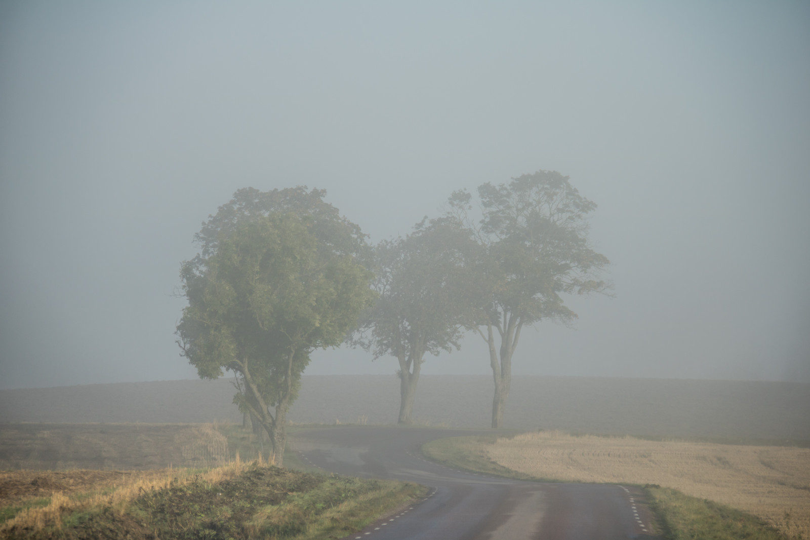 landskab, bakke, vej, morgen, tåge, horisont, atmosfære, støv, dis, træ, tåge, vejr, daggry, tr d, DIMMA, landskabet, soluppg ng, landskap, Gryning, exif model canoneos760d, geocountry, kamera gør kanon, geocity, kameramodel canoneos760d, geostate, geolocation, exif linse efs18200mmf3556is, exif åbning 56, exif gøre kanon, exif isospeed 125, exif focallength 135mm, VAG, siunrise, almindeligt, atmosfærisk fænomen, støvregn