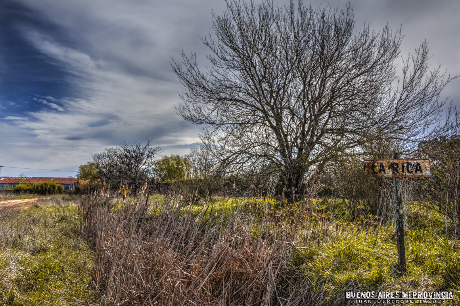 landskab, gammel, bakke, natur, græs, jernbane, landsby, morgen, plakat, Argentina, campo, landdistrikterne, vådområde, træ, jernbane, efterår, blomst, plante, sæson, flora, paisaje, Arbol, landskabet, eng, landskaber, nikond7100, prærie, viejo, landdistrikt, levested, naturligt miljø, vedplante, økosystem, pueblo, Buenos Aires, Ferrocarril, Chivilcoy, Letrero, Larica, campoargentino, kartel, nomenclador