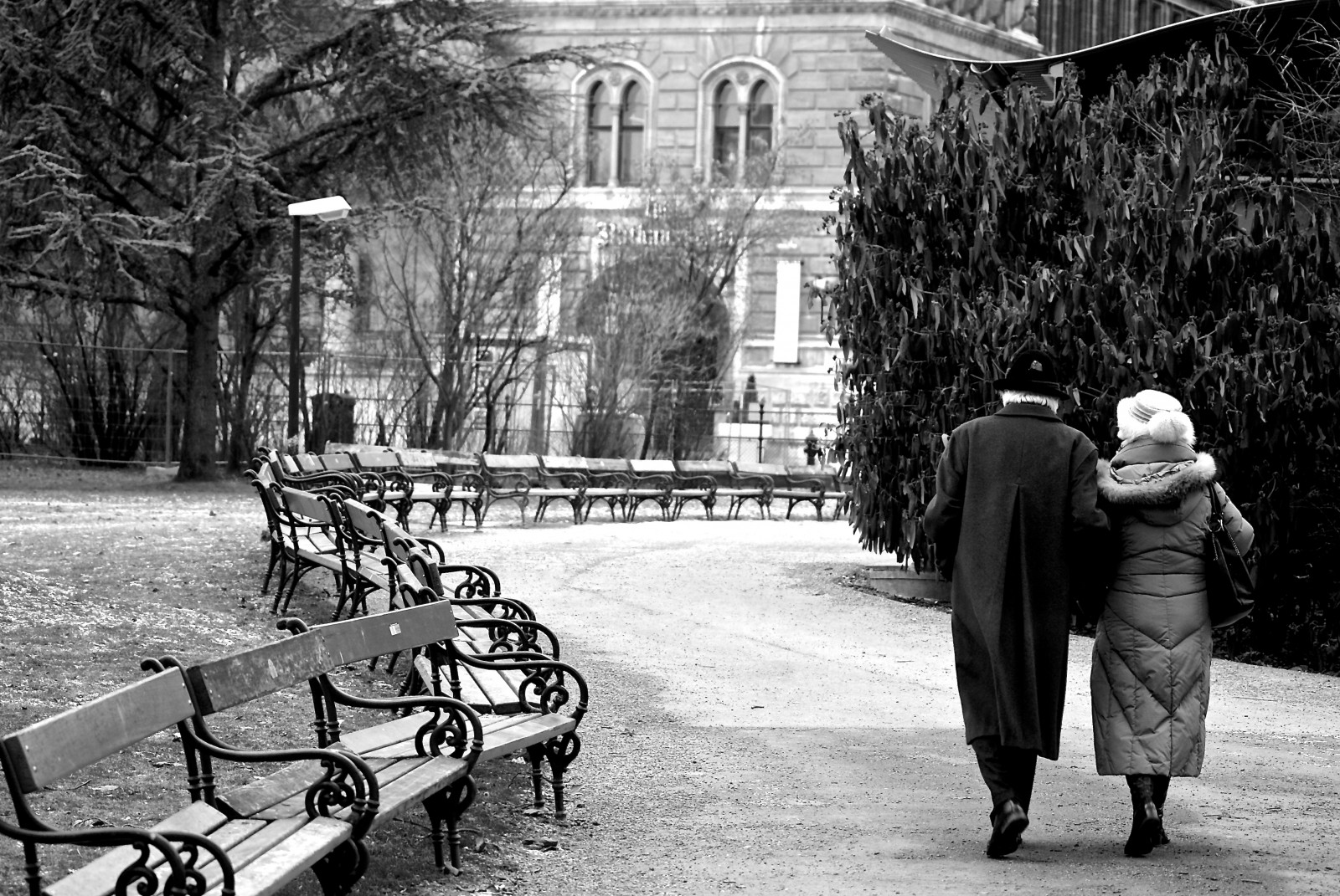 bílý, Černá, černobílý, město, ulice, zima, silnice, fotografování, lavice, Kánon, město, Rakousko, Vídeň, cesta, odpočinek, infrastruktura, strom, rostlina, styl, fotografie, bianco, nero, citta, momentka, panchina, wien, urban area, Černý a bílý, monochromatické fotografování, riposo, Sentiero
