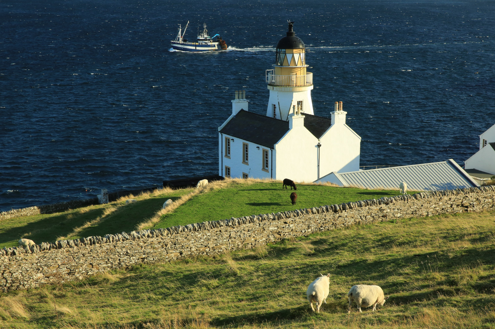 rejse, efterår, hav, panorama, fyrtårn, Mark, drywall, færge, skyer, kyst, Skotland, Orkney, Europa, vågne, får, Det Forenede Kongerige, flag, udforske, skum, fiskebåd, Scrabster, Rockwall, Caithness, Thurso, fishingtrawler, udforsket, northeastscotland, overtheexcellence, eriagn, ngairelawson, ngairehart