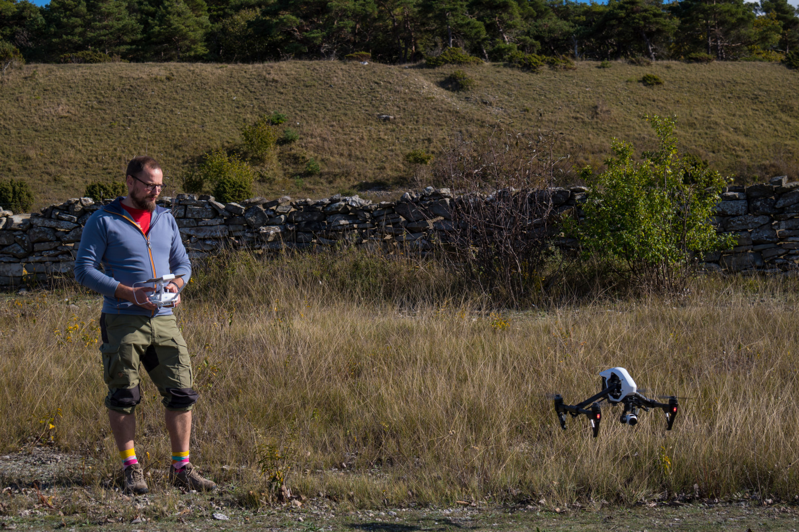 sportovní, Volně žijících živočichů, fotograf, divočina, chůze, stezka, Gotland, attackfoto, attackfoto8, Safari, dobrodružství, rekreace, rekreaci ve volné přírodě