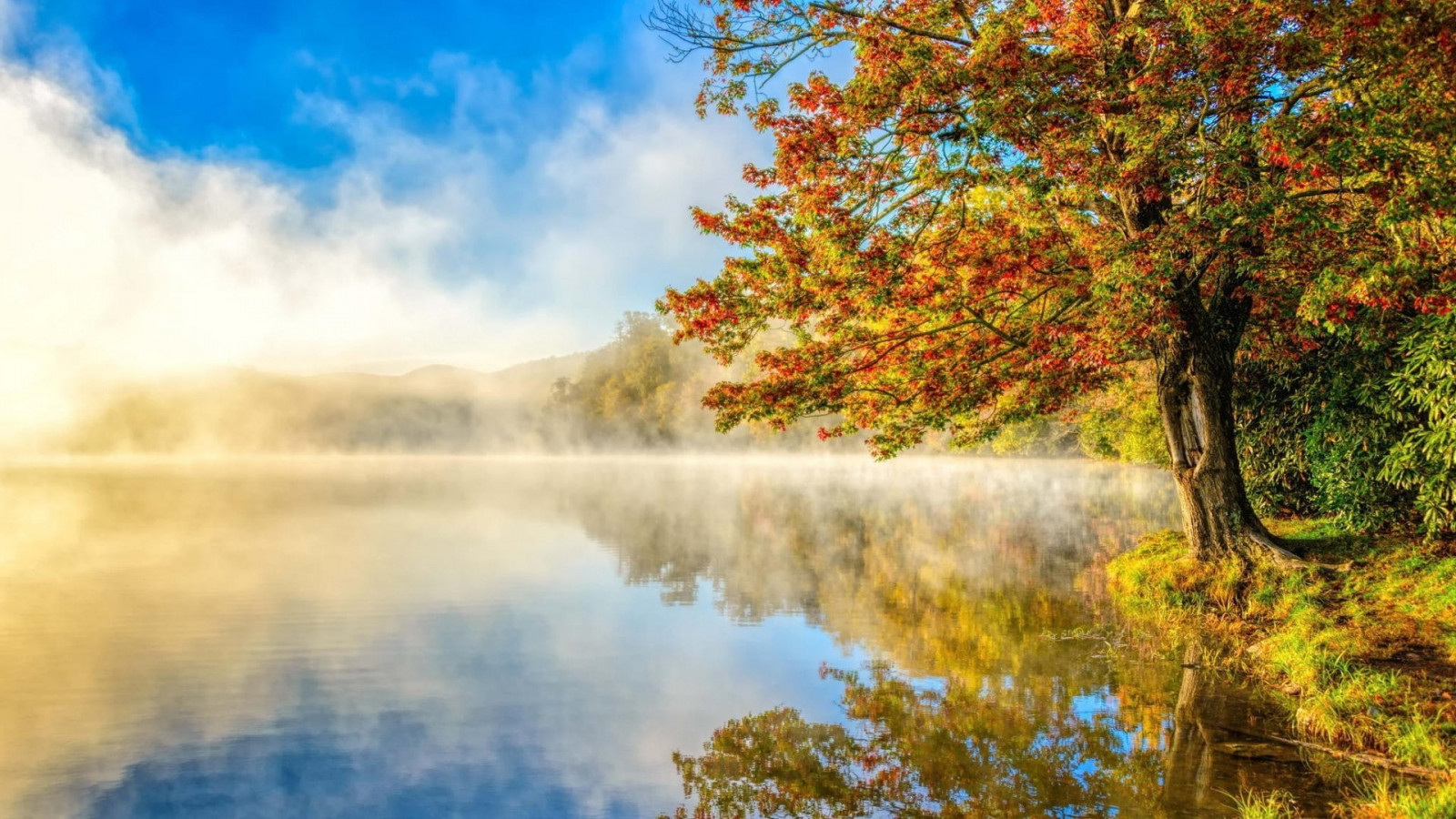 Hintergrundbilder : Sonnenlicht, Landschaft, Natur, Betrachtung, Morgen ...