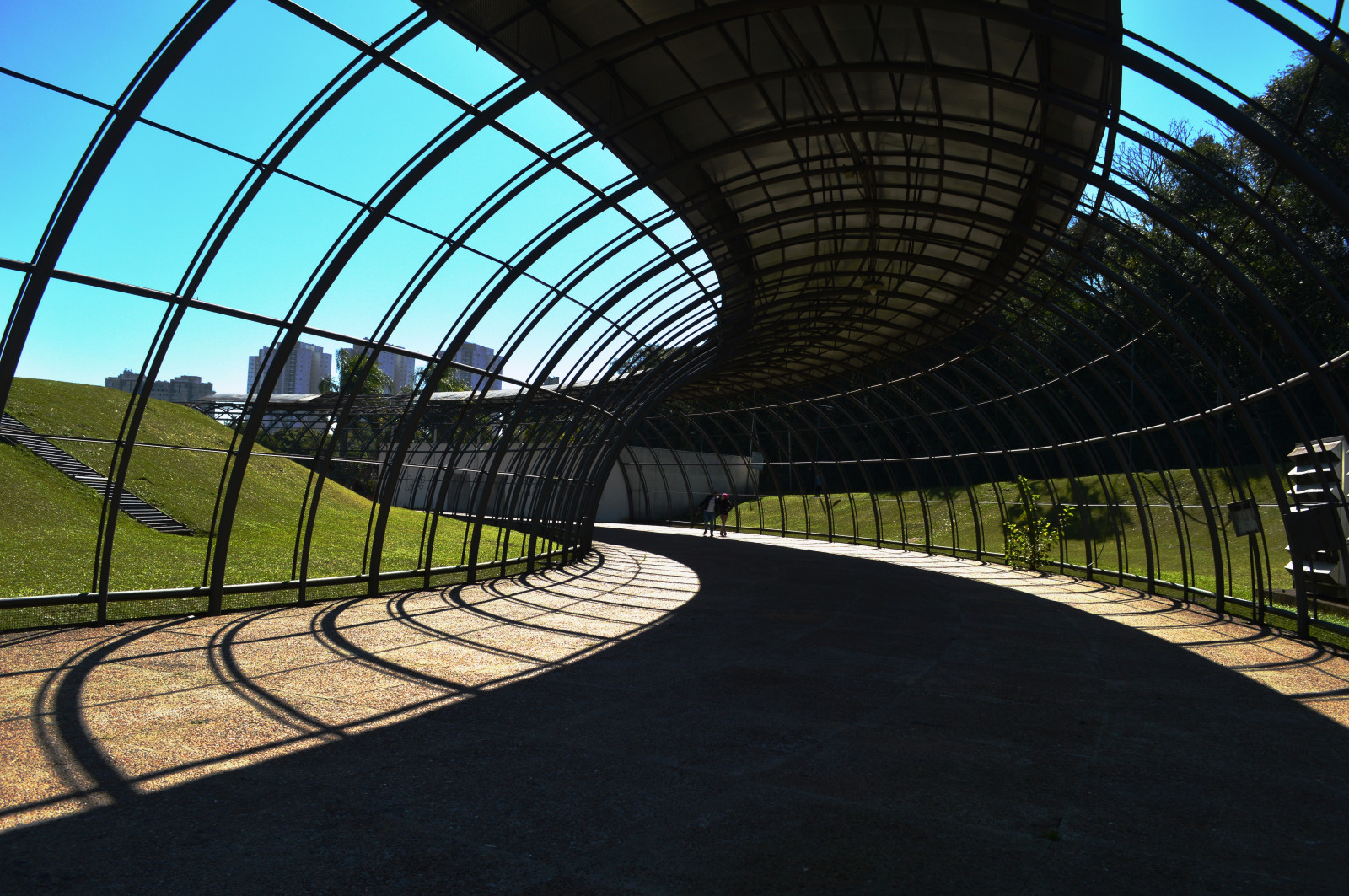 architettura, cielo, verde, geometria, recinto, Curitiba, passerella, struttura, infrastruttura, leggero, archi, albero, ombre, pianta, curva, tetto, linea, botanico, punto di riferimento, luz, sombras, area urbana, area metropolitana, struttura esterna, Architettura, Gardem, fixed link