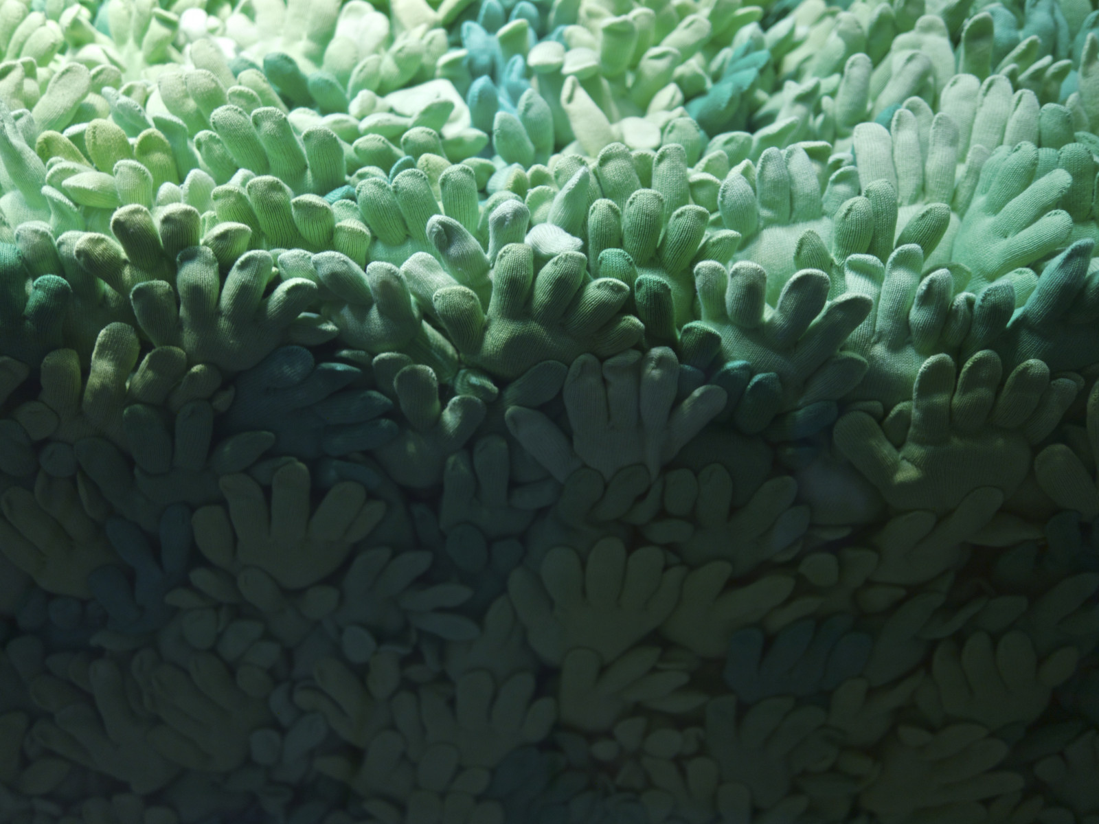 Japonsko, ruce, moře, ulice, noc, Ryba, zelená, Pod vodou, korál, korálový útes, Tokio, biologie, oceán, ruka, útes, místo výskytu, přírodní prostředí, bezobratlý, mořská biologie, cnidaria, mořští bezobratlí, organismus, korálový útes fish, Pomacentridae, mořská sasanka, kamenitá korál