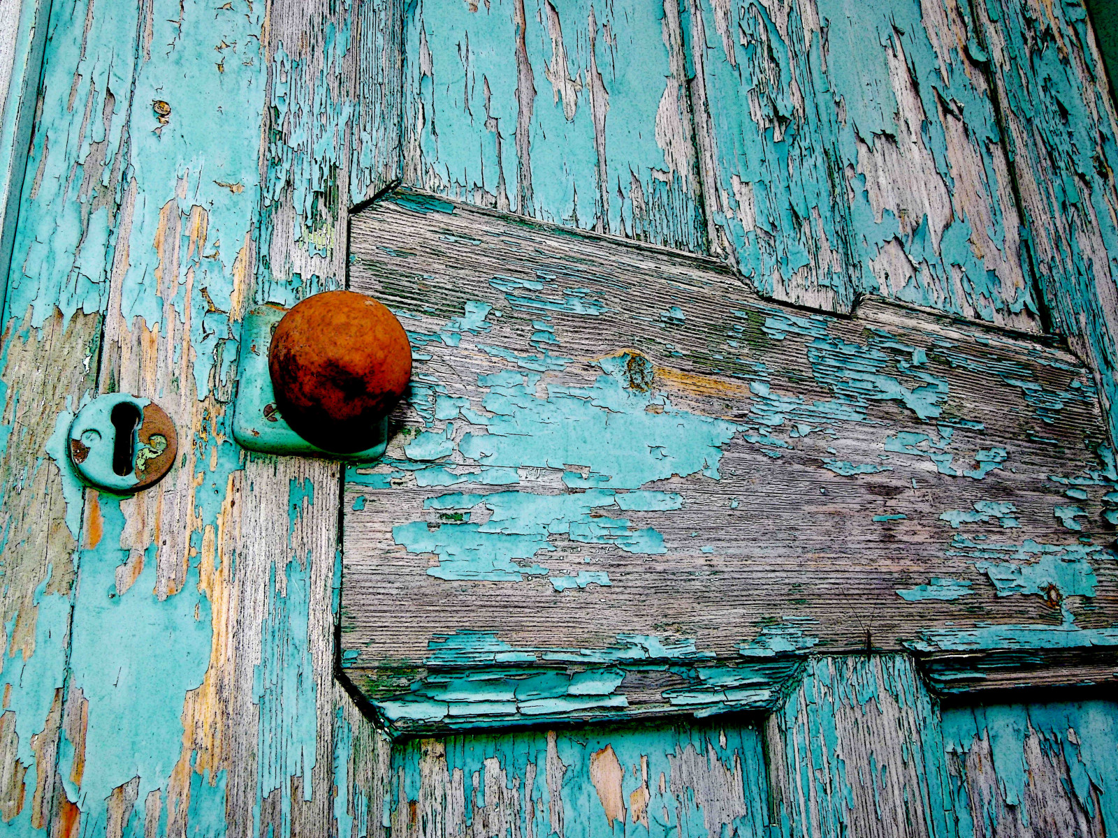 Wallpaper door, blue, painting, handle, spider, rust, key, paint