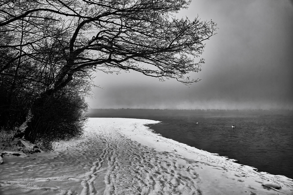 sollys, hvid, monokrom, vand, natur, afspejling, sne, vinter, afdeling, is, morgen, Tyskland, tåge, frost, Leica, Bayern, Fryser, Sky, træ, vejr, plante, sæson, bw, deutschland, mørke, SW, leicam, typ240, se, Schnee, bayern, silverefexpro2, Nebel, eis, atmosfærisk fænomen, sort og hvid, monokrom fotografering, vedplante, Schw ne, January, Starnbergersee, silhouetten, buchscharn, captureone10, leicasummilux35mmf14asphii