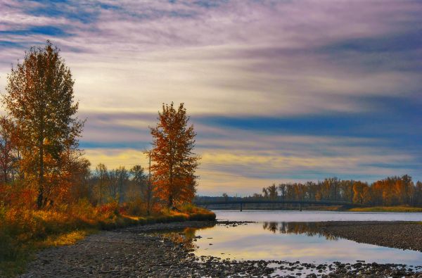 morning,bridge,autumn,trees,sky,fall