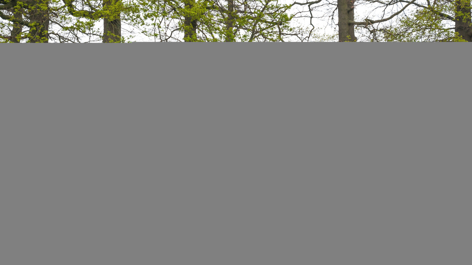 krajina, lidé, Černá, Photoshop, město, ulice, auto, městský, BMW, stěna, fotografování, dřevo, Supercars, Volkswagen, Lamborghini, Porsche, McLaren, město, luxus, Nikon, plot, život, Evropa, Ferrari, Maserati, Bugatti, Adobe, Lightroom, MM, rýžování, AMG, benz, 5, 18, cars, čára, styl, motor, série, superauto, mercedes, d90, CS6, evropský, editace, 105, sLR, mercedesbenz, motorsport, SLS, carphotography, blackseries, blauw, outdoor struktura, Bently