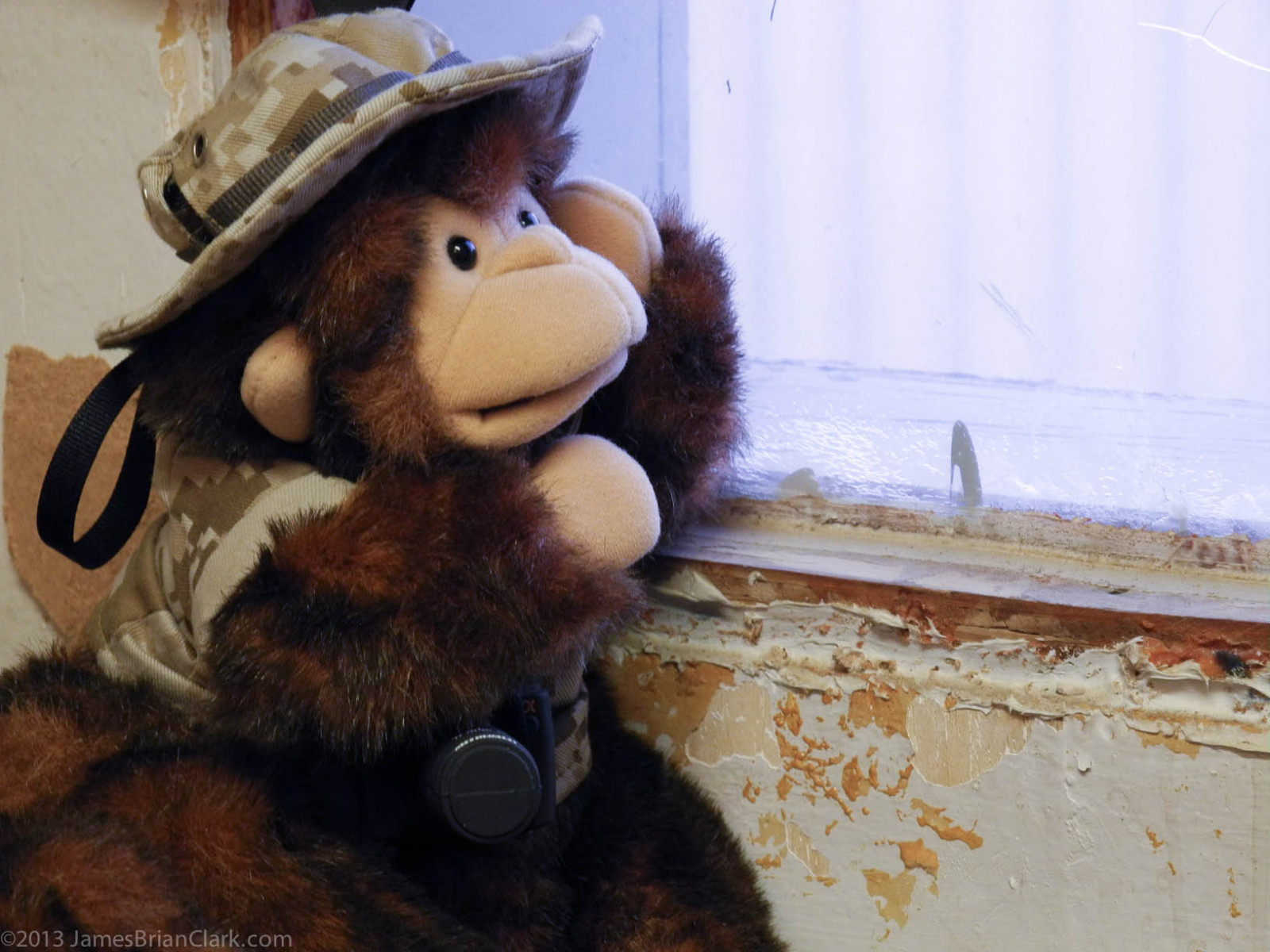 Vánoce, Afghánistán, roztomilý, zvíře, Hračka, opice, nadívaný, srstnatý, legrační, panenka, loutka, válečný, rozkošný, opice, kufr, dovádění, primát, rozvinutí, taktický, Minky