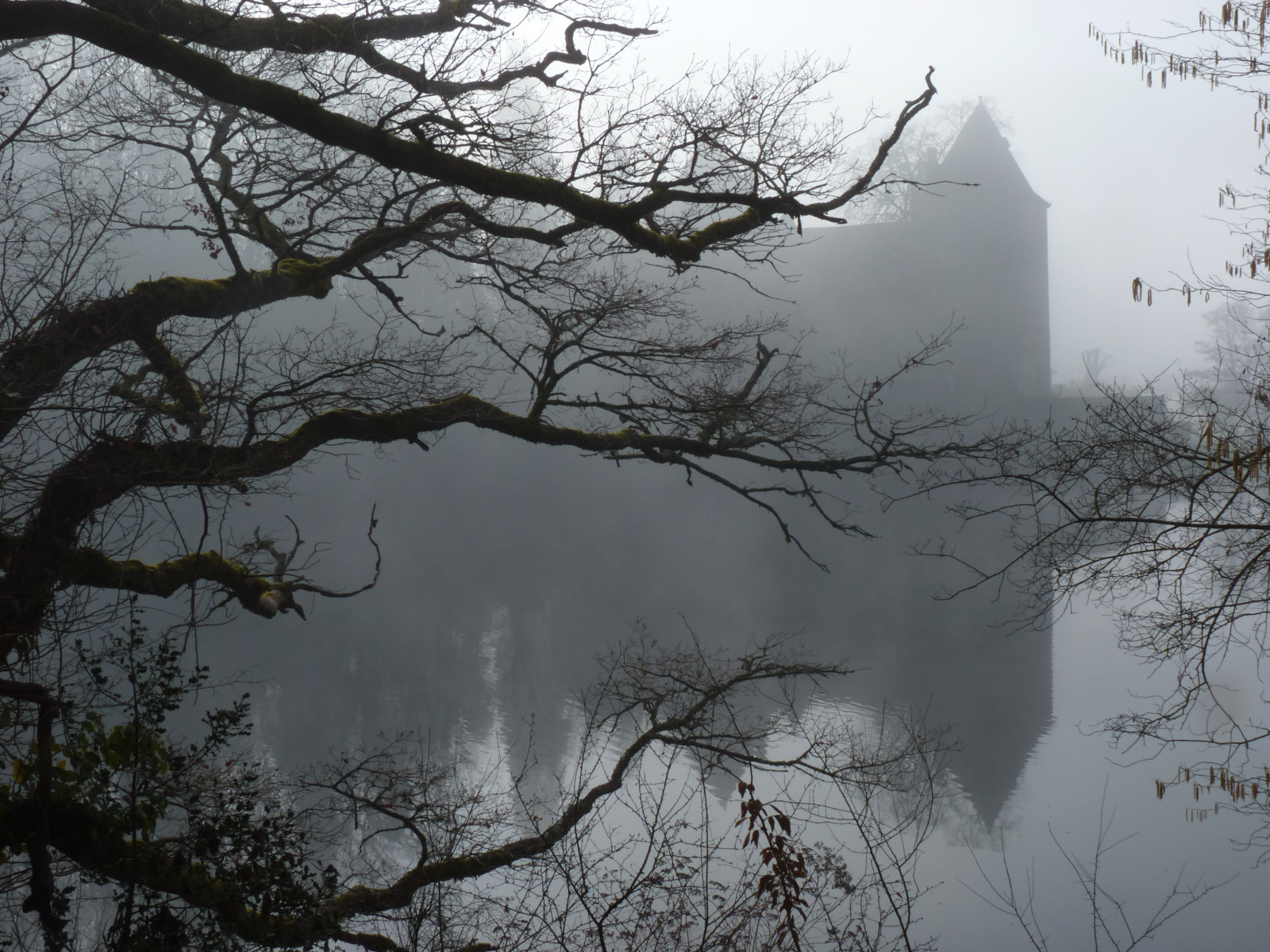 slunečnímu záření, les, voda, odraz, nebe, sníh, zima, silueta, větev, ráno, hrad, mlha, mráz, atmosféra, zmrazení, zámek, mrak, strom, mlha, arbre, reflet, eau, mlha, zálesí, větvička, dřevina, jev, větev, Limousin, corr ze, Uncoindecampagne, Saintmartialentraygues