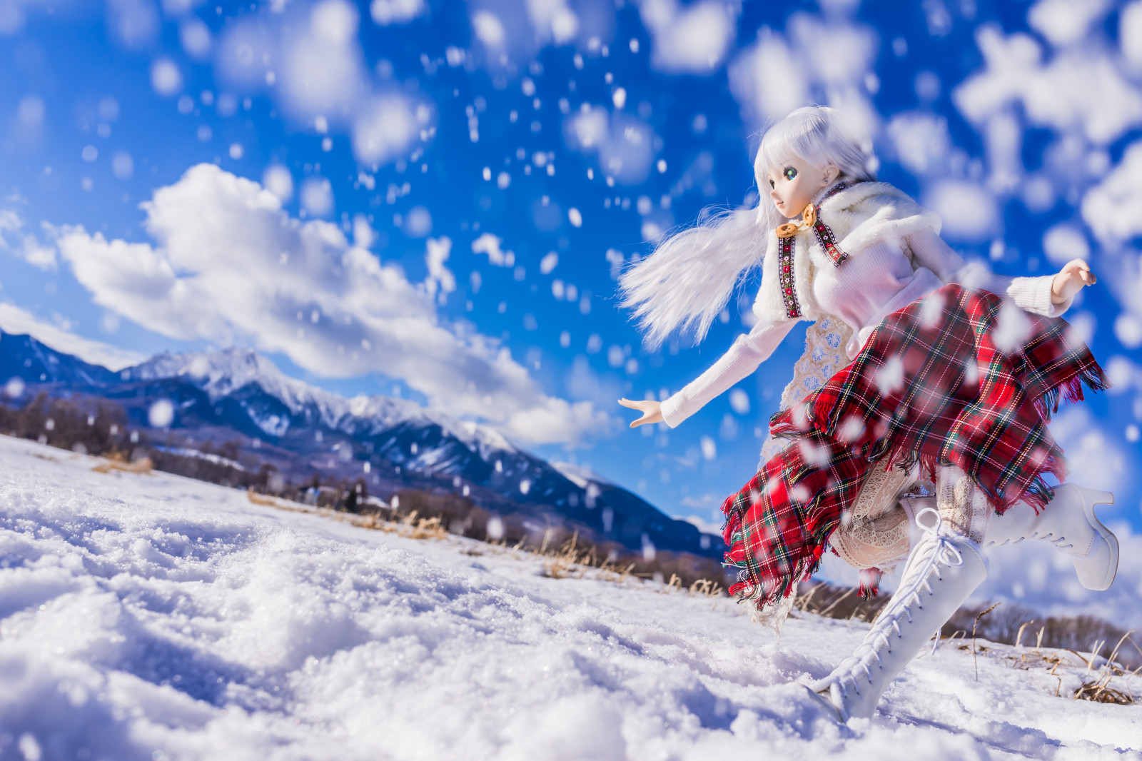 ท้องฟ้า, หิมะ, ฤดูหนาว, น้ำแข็ง, น้ำค้างแข็ง, โซนี่, ต้นคริสต์มาส, คริสต์มาส, วันหยุด, ต้นสน, การแช่แข็ง, RX1R, เมฆ, ต้นไม้, สนุก, dollfiedream, dd, วอลล์เปเปอร์คอมพิวเตอร์, dscrx1r