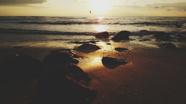 sunlight,landscape,sunset,sea,rock,shore