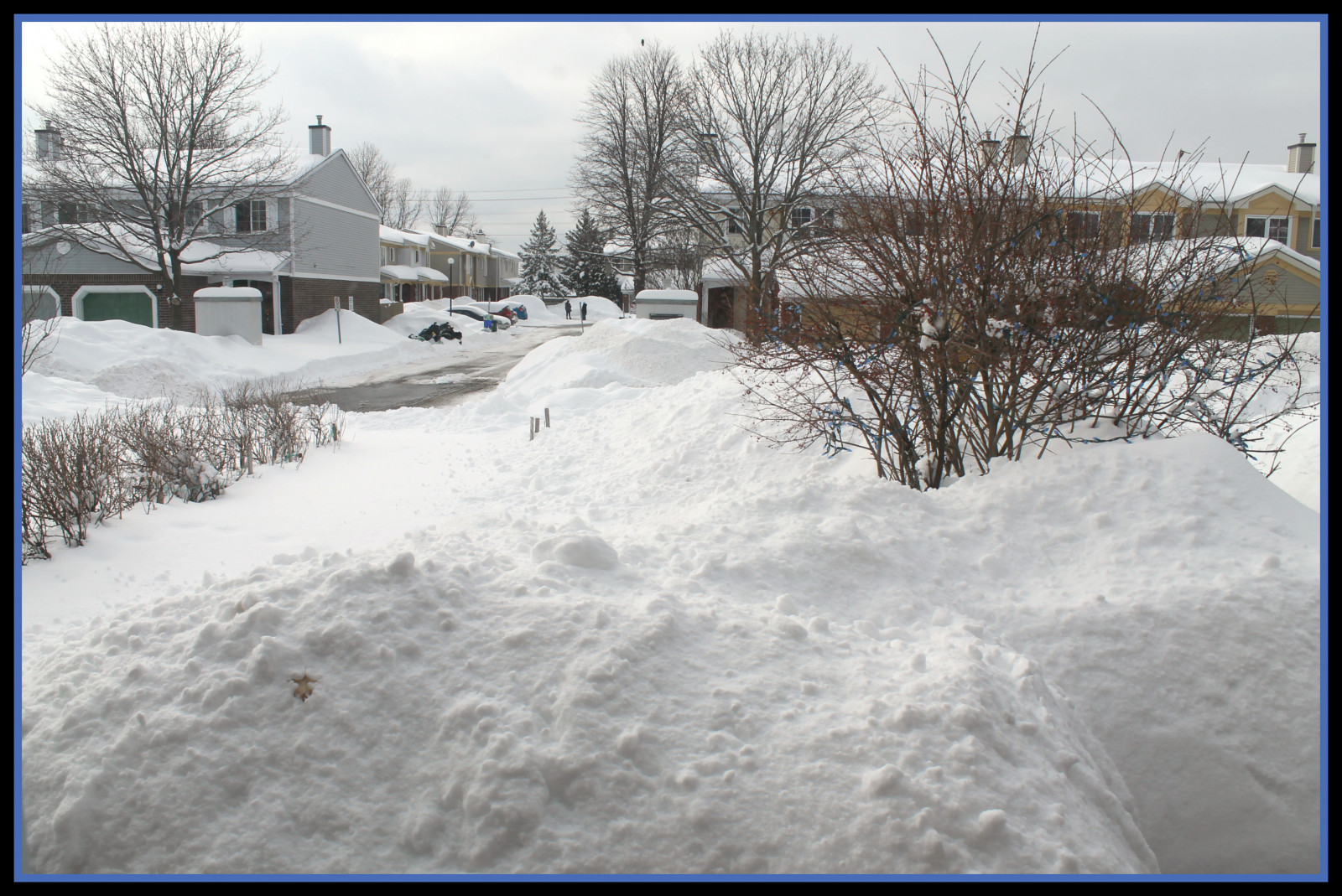 træer, gade, vand, natur, himmel, sne, vinter, is, kold, frost, atmosfære, buske, dør, snefnug, Fryser, snestorm, træ, humør, vinduer, dOF, huse, fantastiske, snestorm, Formidabelt, snefald, natura, inverno, neve, porta, sindssyge, freddo, vinter storm, hæk, mystreet, udfældning, hvidguld, flickrshiver, crazymaking, hillsofsnow, myfrontgarden, snowanyone, flickrwhitestuff