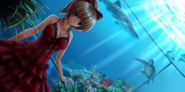 animal, blue, 2560x1280 px, blonde, bow, breasts