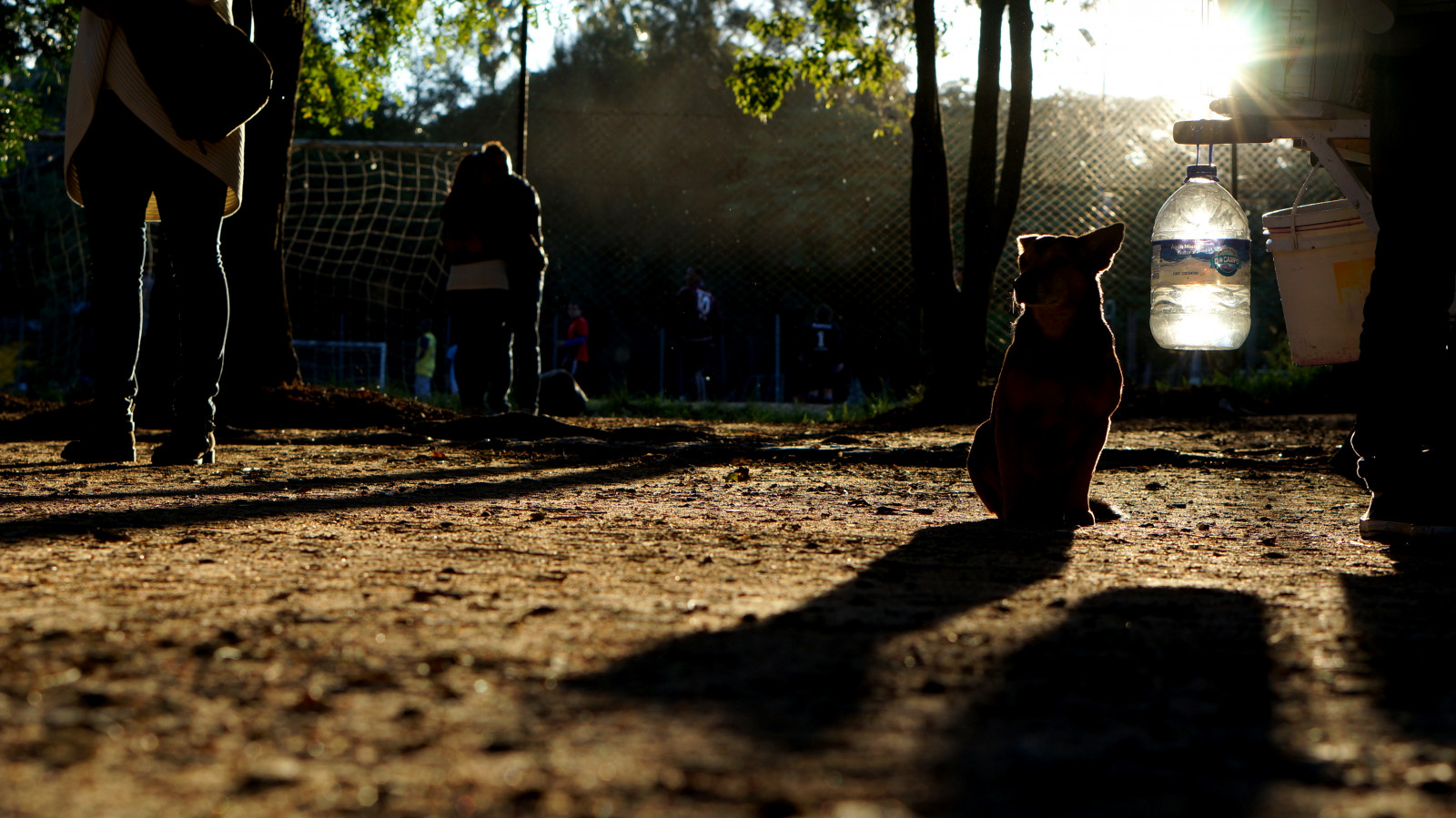 temný, ulice, noc, voda, stín, silueta, Pes, slunce, Brazílie, světlo, barva, silueta, fotografie, tma, obraz, Porto Alegre, riograndedosul