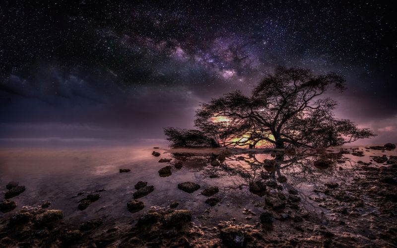 stromy, noc, galaxie, Příroda, nebe, voda stromy, noc, galaxie, Příroda, nebe, voda