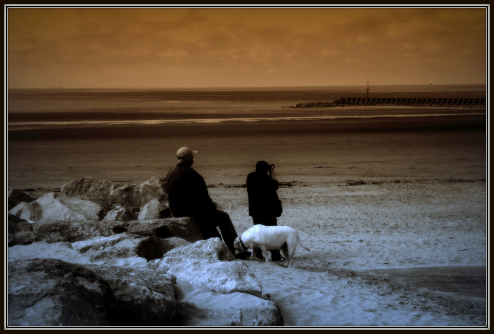 Wallpaper light, sea, England, sky, dog, lighthouse, men, beach