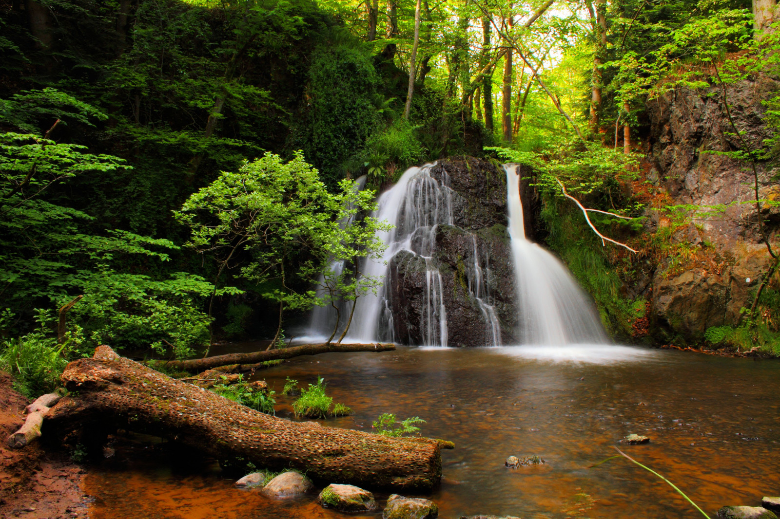 ต้นไม้, สีเขียว, น้ำตก, เข้าสู่ระบบ, Rosemarkie, ผิวดำ, Fairyglen