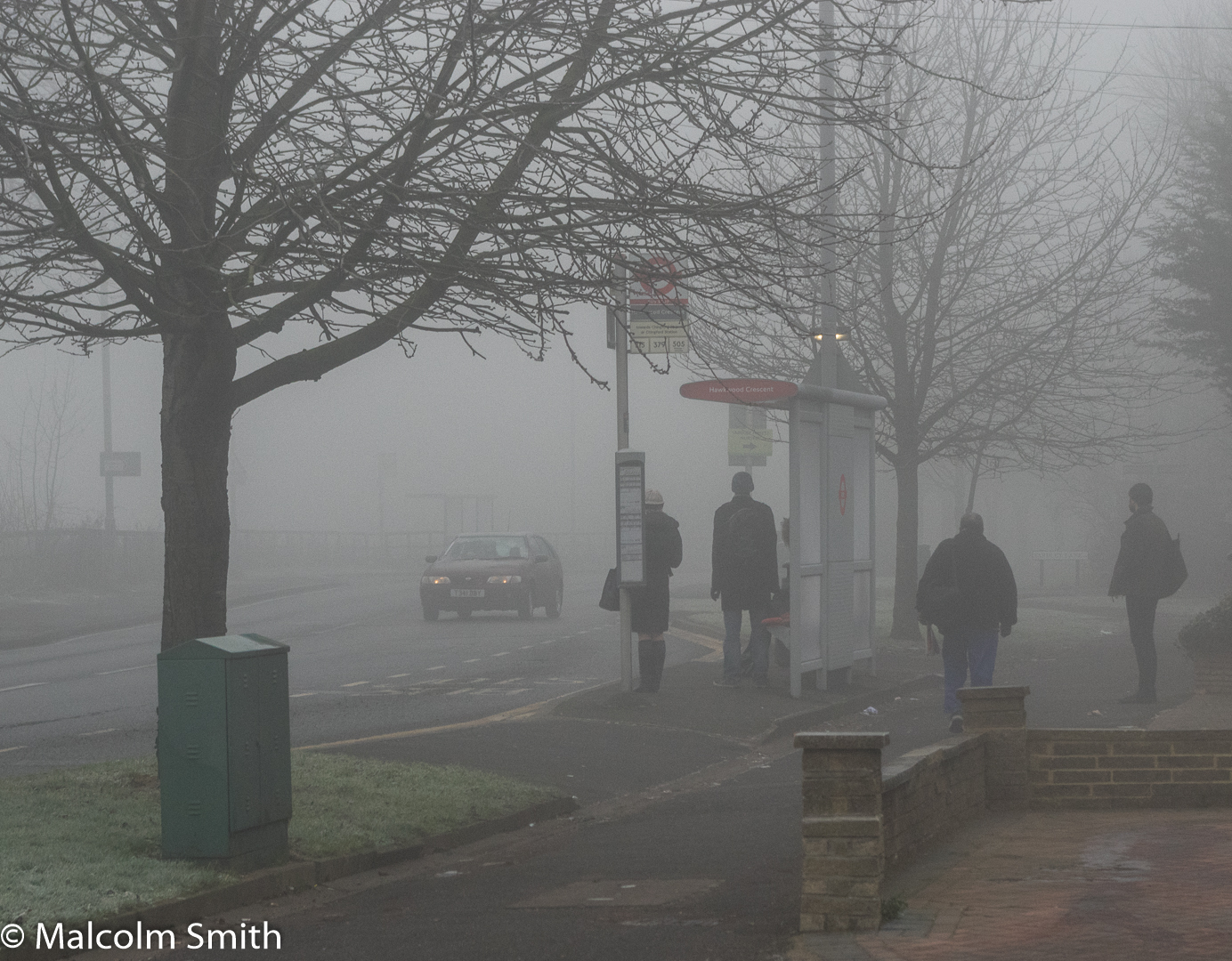 træer, lys, mennesker, gade, bil, sne, vinter, vej, grøn, morgen, tåge, hold op, ly, Fryser, dis, PENTAX, bus, tåge, vejr, sæson, fortov, vægge, snestorm, atmosfærisk fænomen, vinter storm, pendling