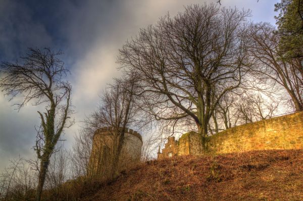 sunlight, trees, landscape, forest, sunset, hill