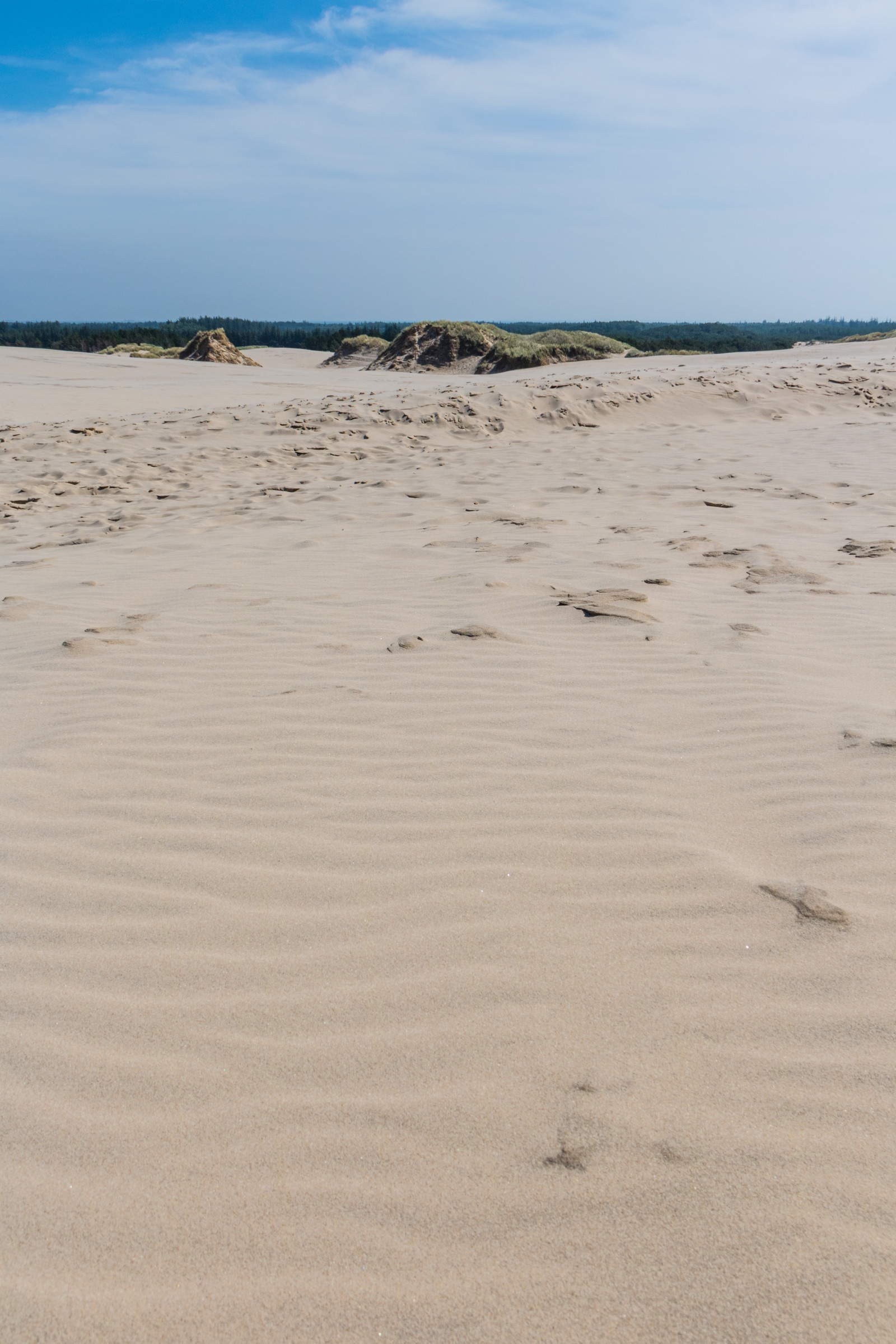 Hintergrundbilder : Meer, Ufer, Sand, Strand, Küste, Düne ...