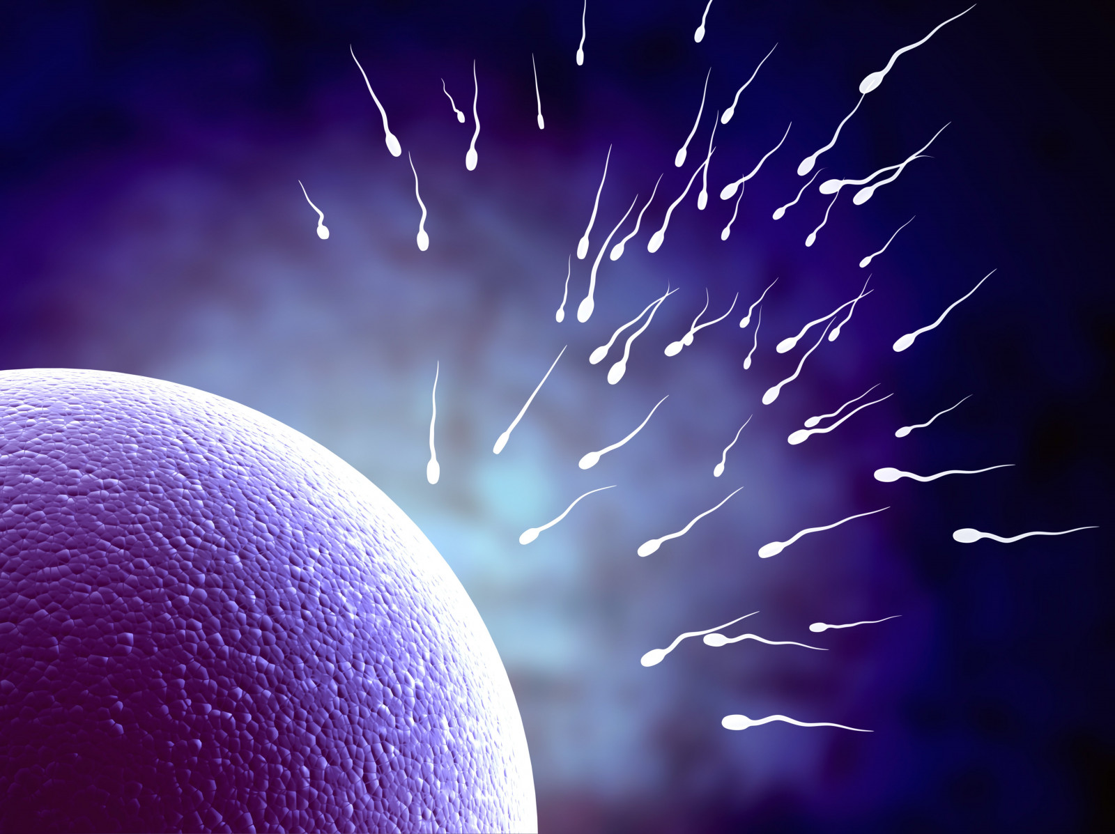 1sperm, 4975x3724 px, abstract, abstraction, bokeh, cell, DNA, egg, eggs, life, male, man, mating, medical, men, psychedelic, sex, sexual, sperm, swim, swimming, vector