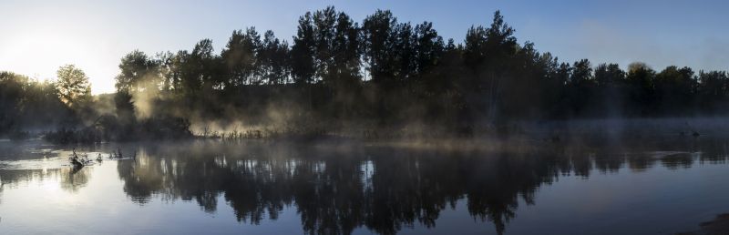 sinar matahari,pemandangan,hutan,danau,pohon,jatuh