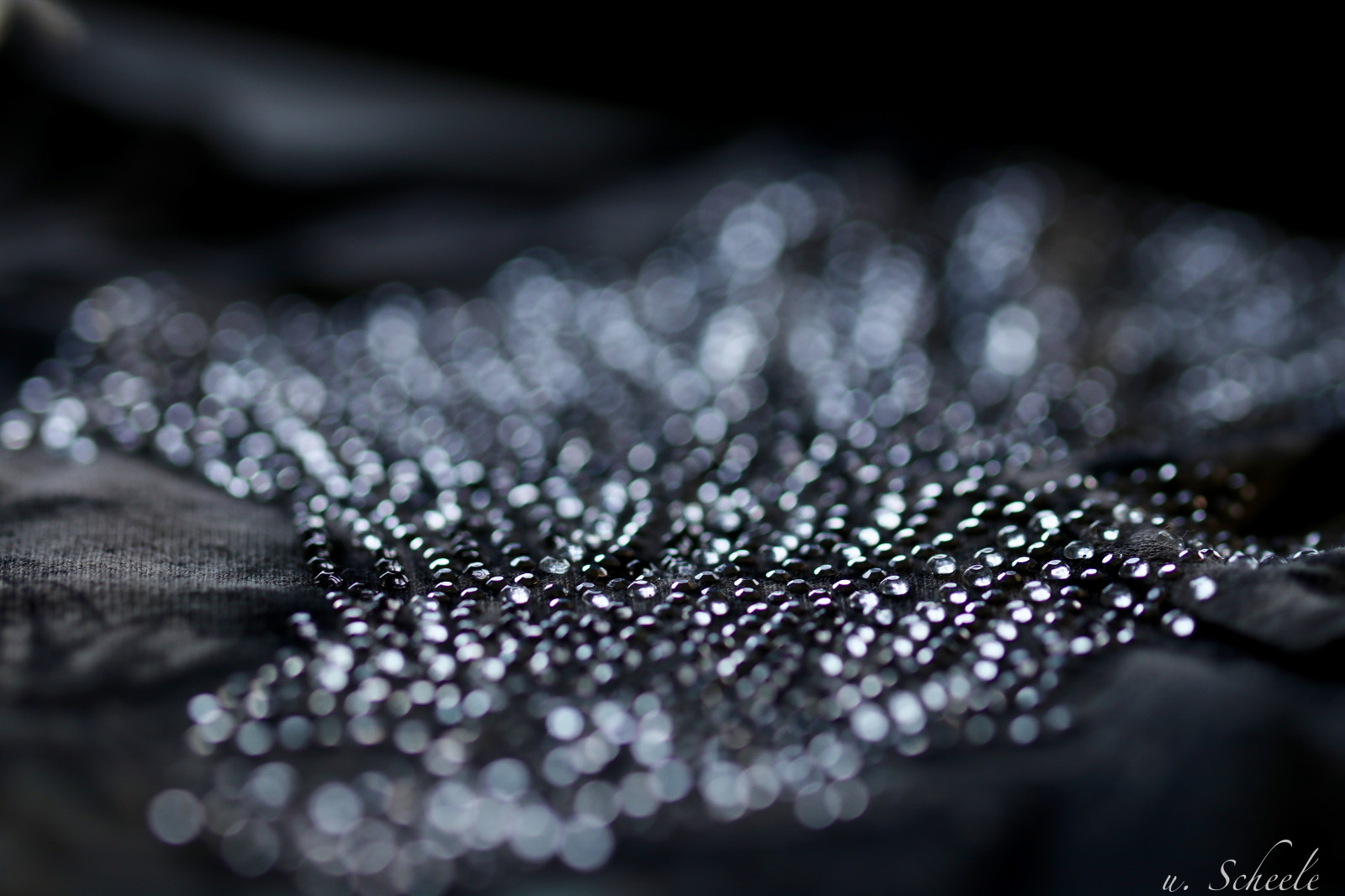 สีขาว, ดำ, ขาวดำ, การสะท้อน, การถ่ายภาพ, ใกล้ชิด, แมโคร, เสื้อ, น้ำค้างแข็ง, Canon, เรณู, bokeh, MM, ผ้า, macromondays, ดอกไม้, ในร่ม, makro, อืม, ความมืด, เครื่องแต่งกาย, eos, schwarz, kleidung, สิ่งทอ, เสื้อยืด, nahaufnahme, spiegelung, ดำและขาว, ถ่ายภาพขาวดำ, ใกล้ชิด, การถ่ายภาพมาโคร, แวววาว, sch rfentiefe, ผ้าคลุมเตียง, canoneos80d, closeshot, eos80d, textil, Indoormacro, stoff, แวววาว, glitzersteinchen, gewebe, Glitzerstein, การยับยั้ง, stoffa