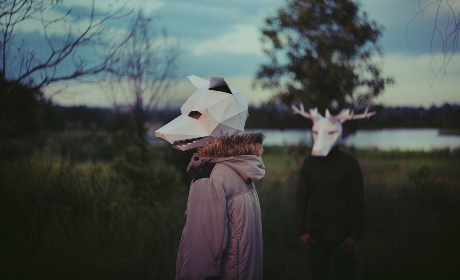 slunečnímu záření, krajina, lidé, Jelen, voda, odraz, tráva, nebe, fotografování, maska, večer, vlk, origami, papír, Pojmový, strom, rostlina, dívka, zábava, duo, jev