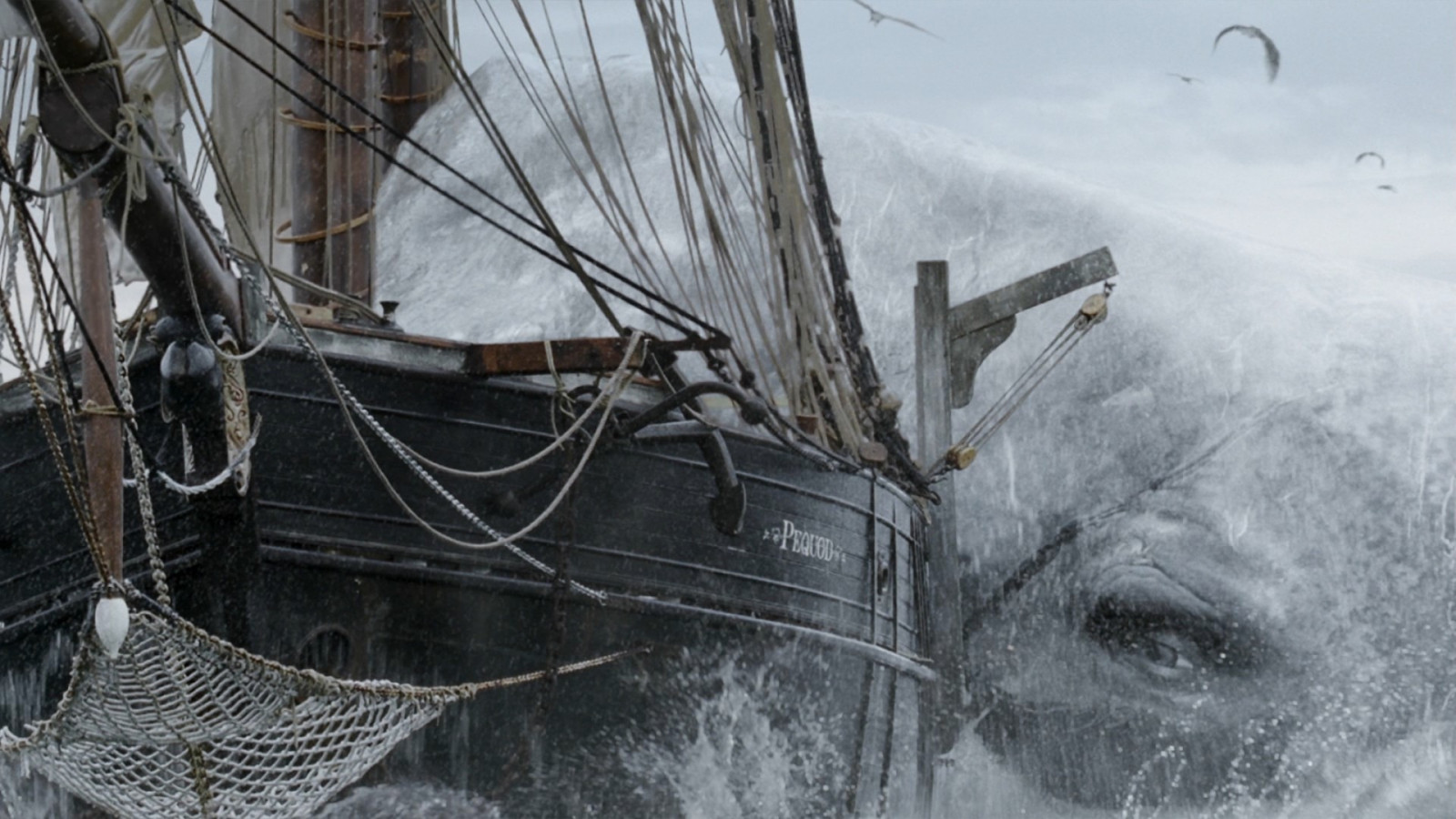 skib, båd, sejlskib, dyr, hav, natur, sne, køretøj, kunstværk, bølger, hval, net, spøgelse skib, Moby Dick, vejr, sejlbåd, fartøjer, mast, sejle, Caravel