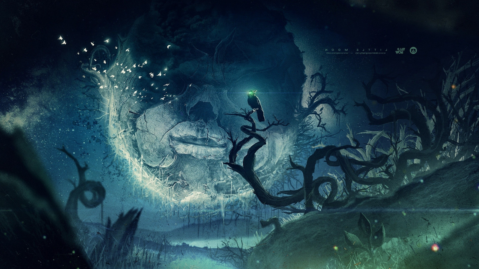 ansigt, illustration, Fantasy kunst, Måne, tåge, ravn, undervands-, duer, Desktopography, spøgelse skib, valpnow, mørke, skærmbillede, 2560x1440 px, computer tapet, specielle effekter, ydre rum