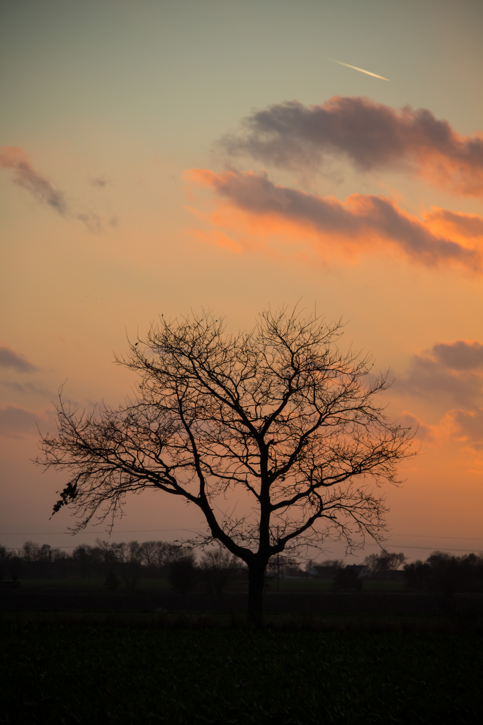 sollys, landskab, solnedgang, natur, himmel, Mark, afdeling, solopgang, aften, morgen, tåge, Sol, atmosfære, skumring, Sky, træ, daggry, plante, himmel, solnedg ng, tr d, landskabet, Moln, landsbygd, s dersl tt, landskap, exif model canoneos760d, geocountry, kamera gør kanon, geocity, kameramodel canoneos760d, geostate, geolocation, exif linse efs18200mmf3556is, exif åbning 56, exif gøre kanon, exif isospeed 125, exif focallength 145mm, atmosfærisk fænomen, efterglød, vedplante, rød himlen om morgenen
