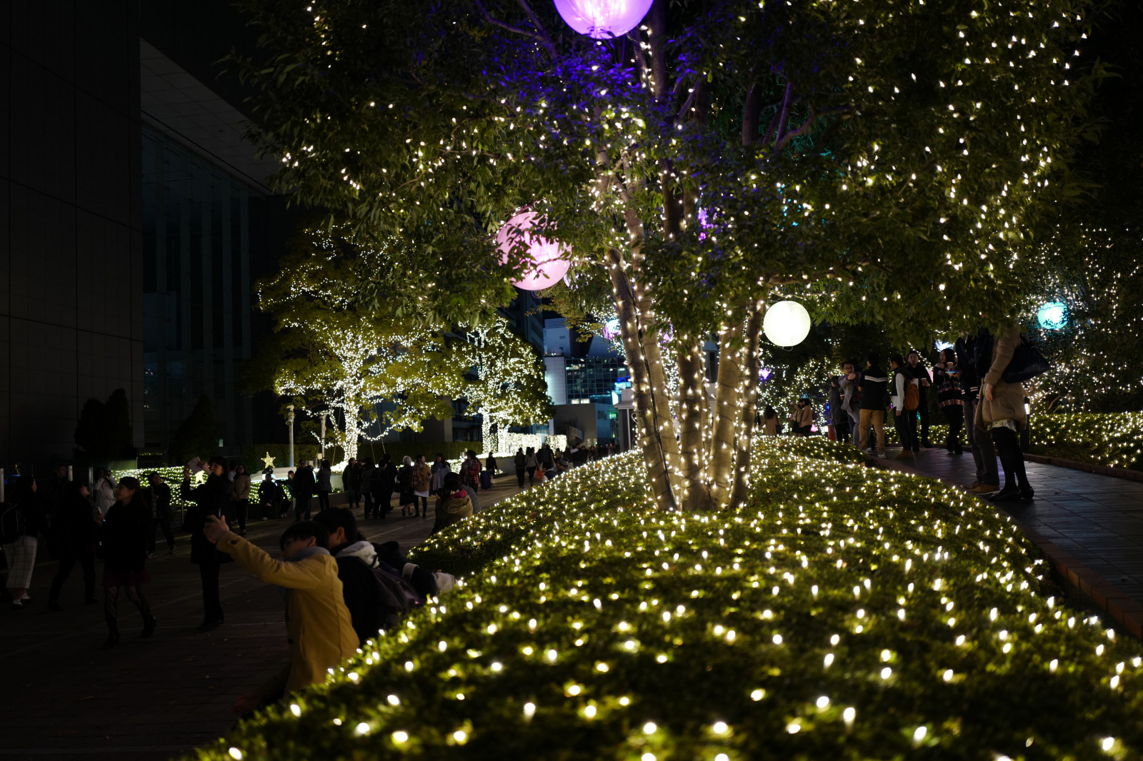 Japonsko, noc, večer, Vánoční strom, Vánoce, Dovolená, Vánoční osvětlení, Leica, Tokio, událost, jp, světlo, strom, osvětlené, osvětlení, já, Shinjuku, southernterrace, summilux, leicaq, summilux1728, q, 1728, iillumination, s, vánoční dekorace